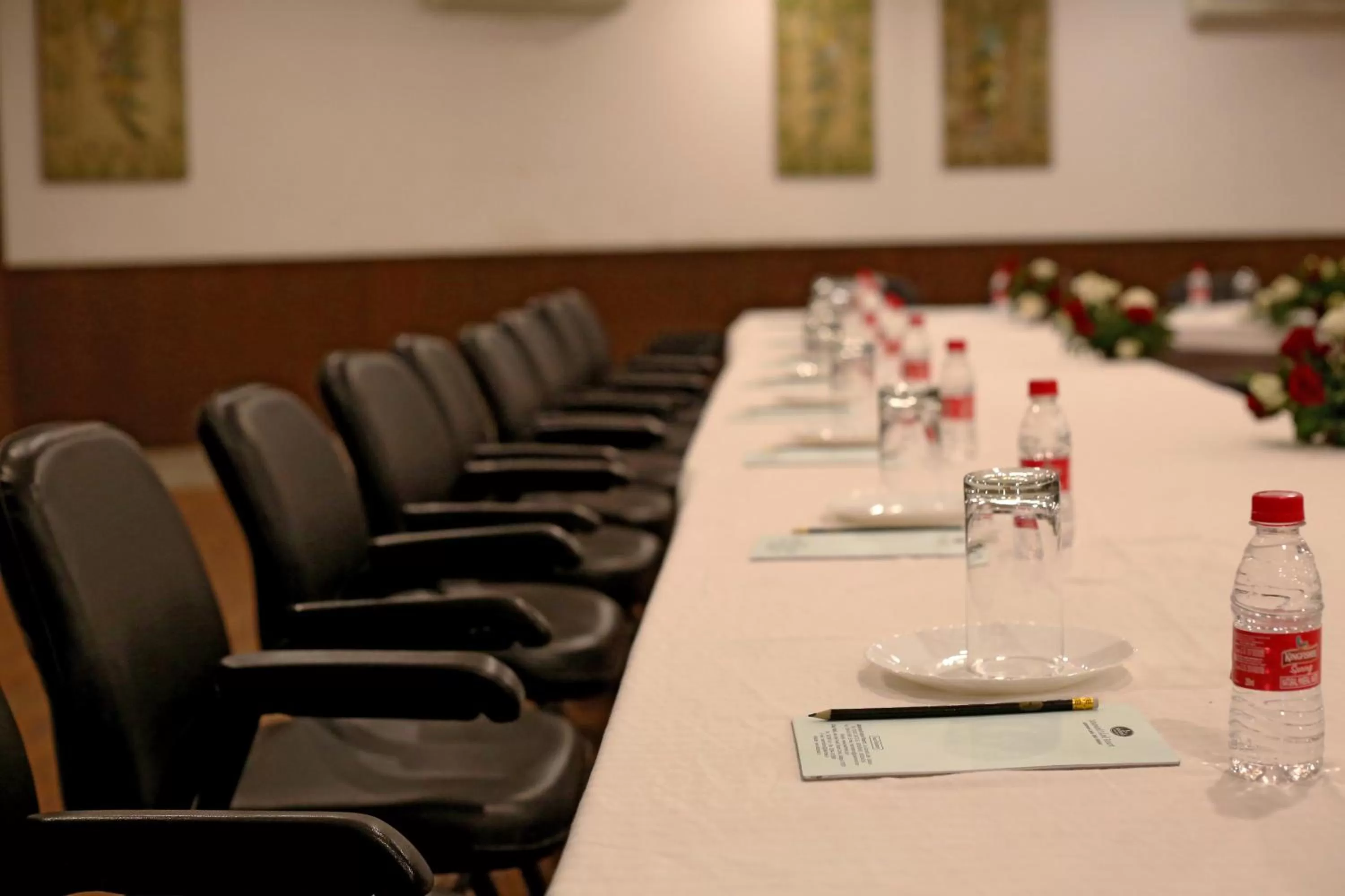 Meeting/conference room in Jaisamand Island Resort