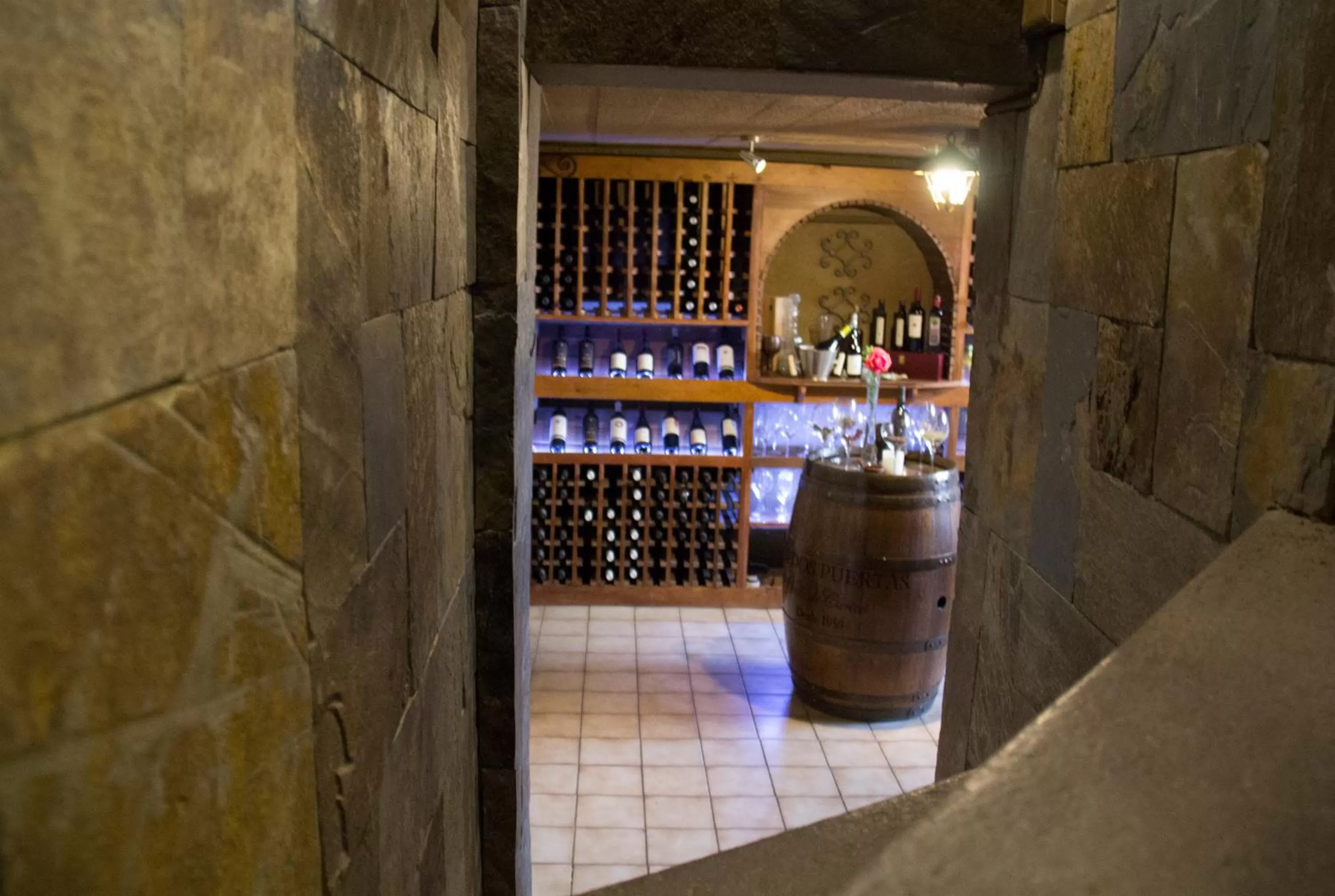 Area and facilities in Carménére Ecohotel