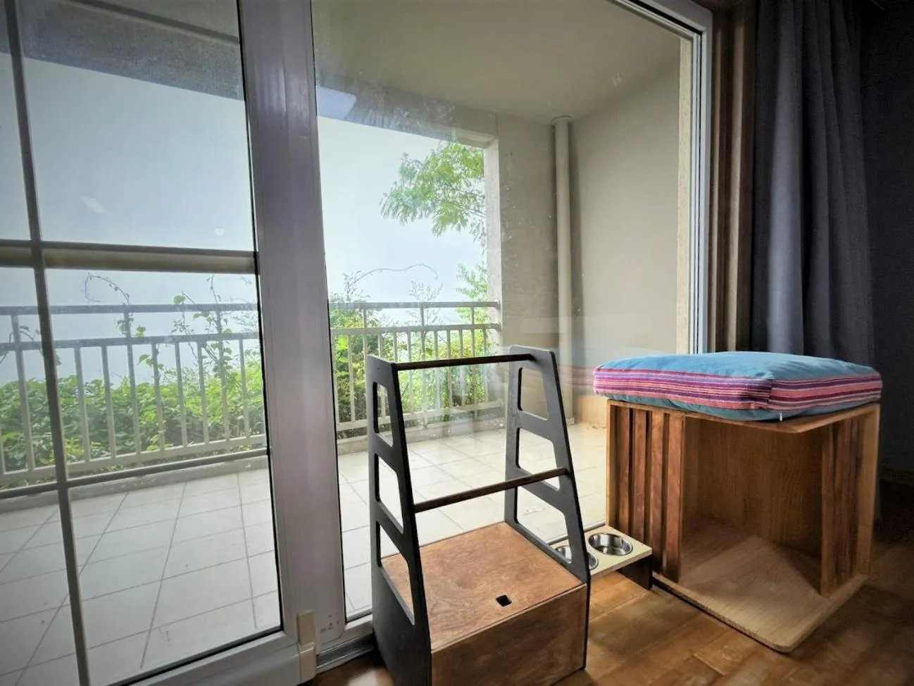 Pets in Gyeongju Mauna Ocean Resort