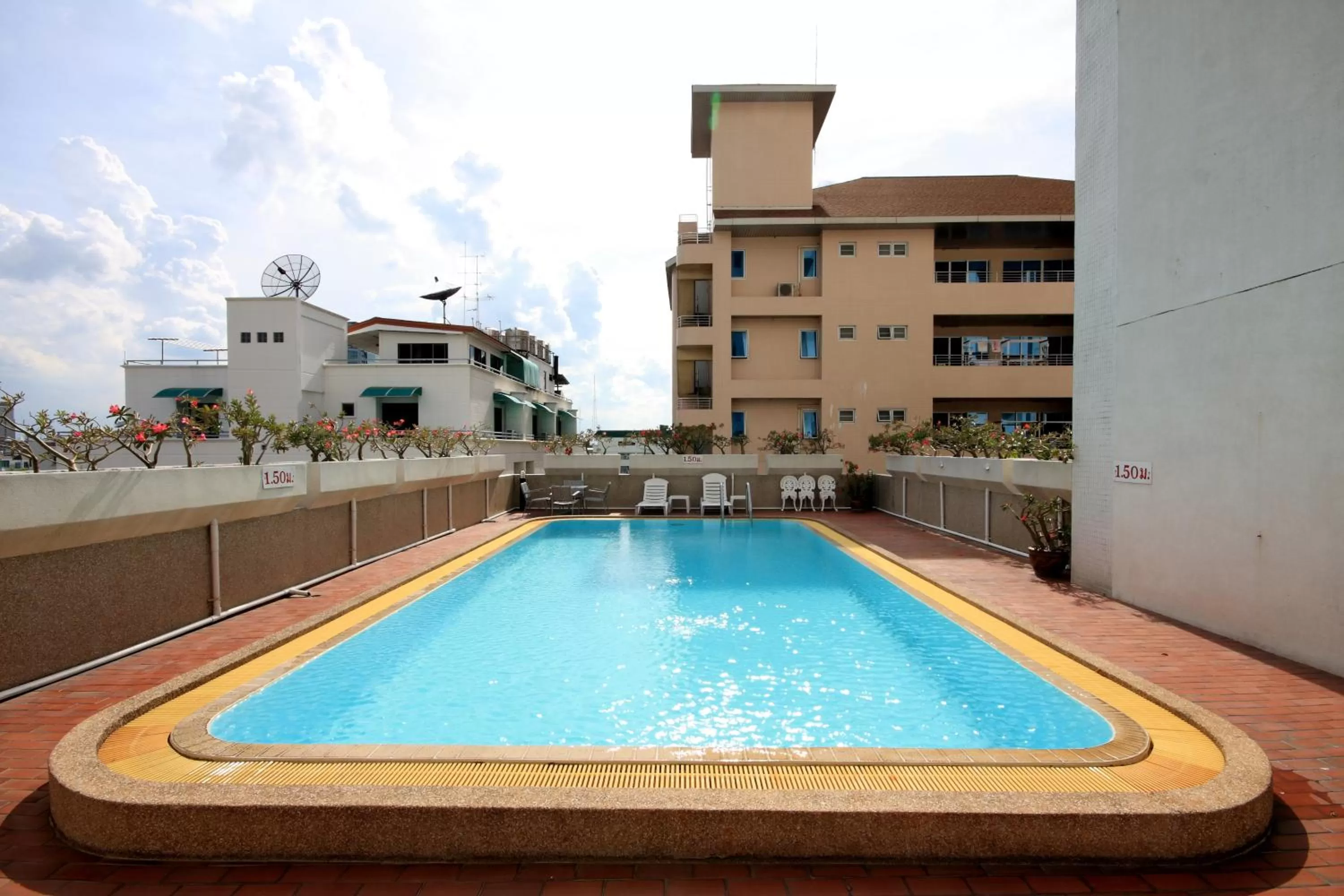 Swimming pool in MIDO Hotel