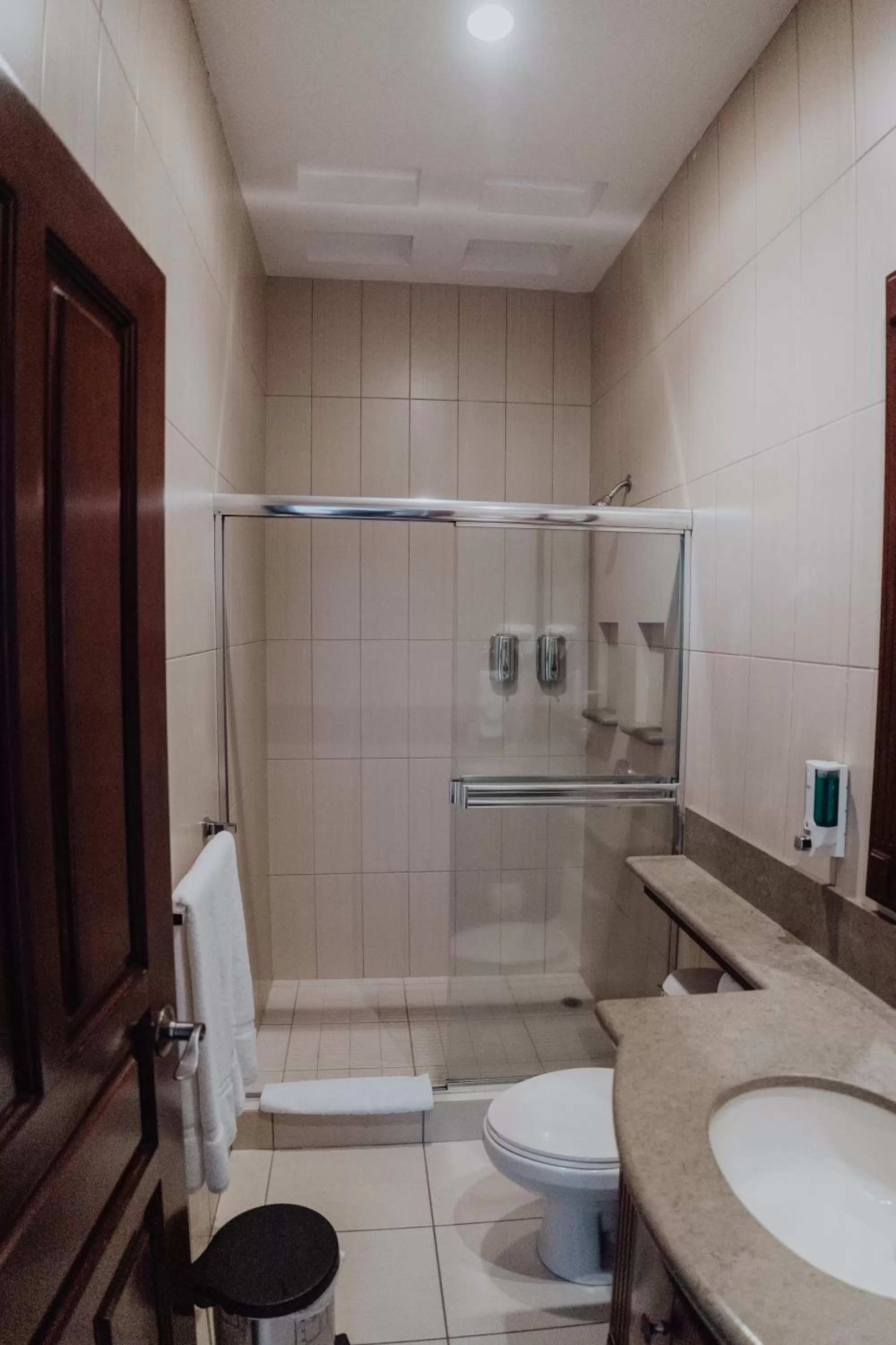 Toilet in Hotel Dunn Inn