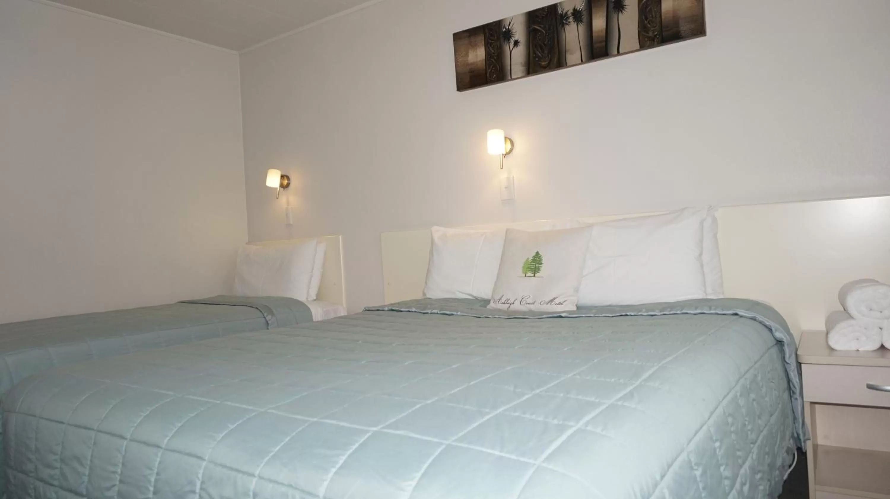 One-Bedroom Twin Apartment in Ashleigh Court Motel