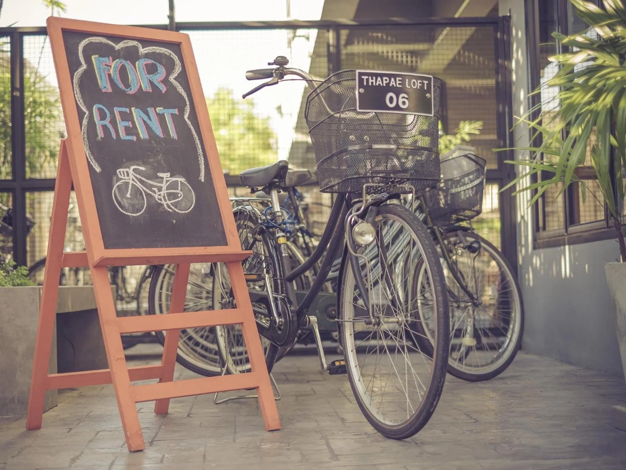 Other in Thapae Loft