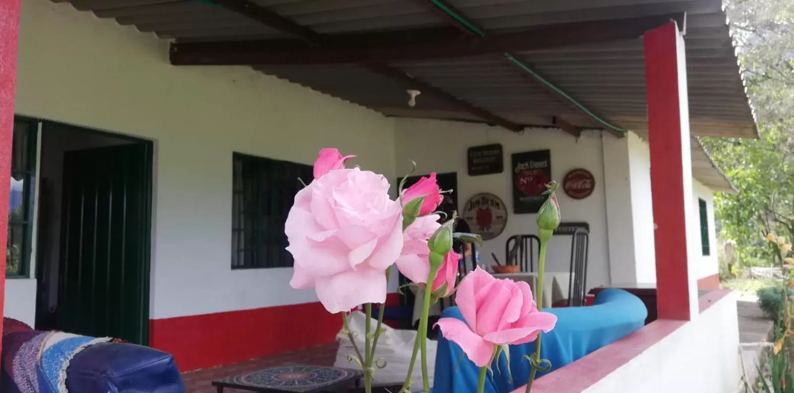 Area and facilities in Finca Umnisa - Choachi