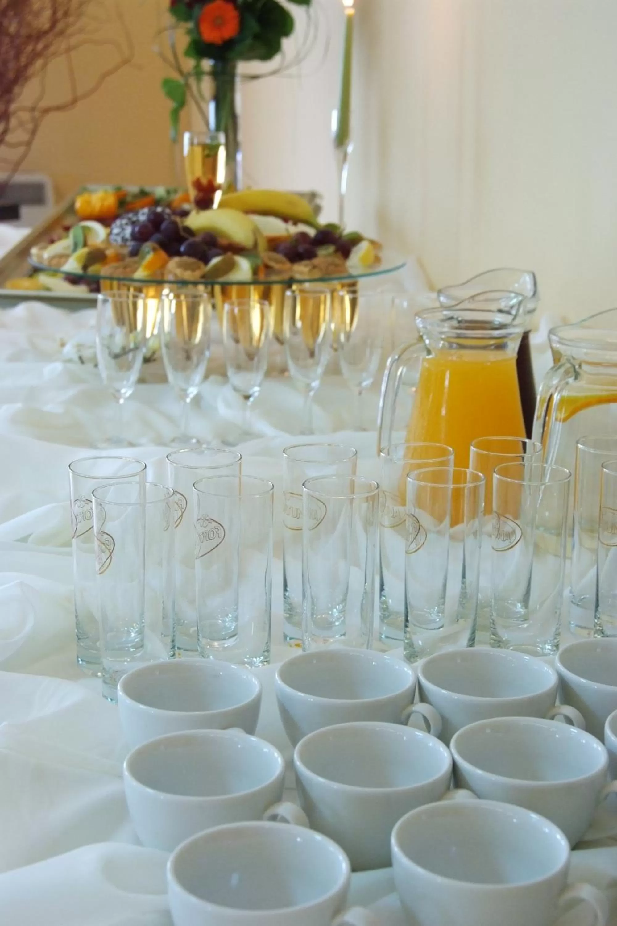 Food and drinks in Hotel Vistula