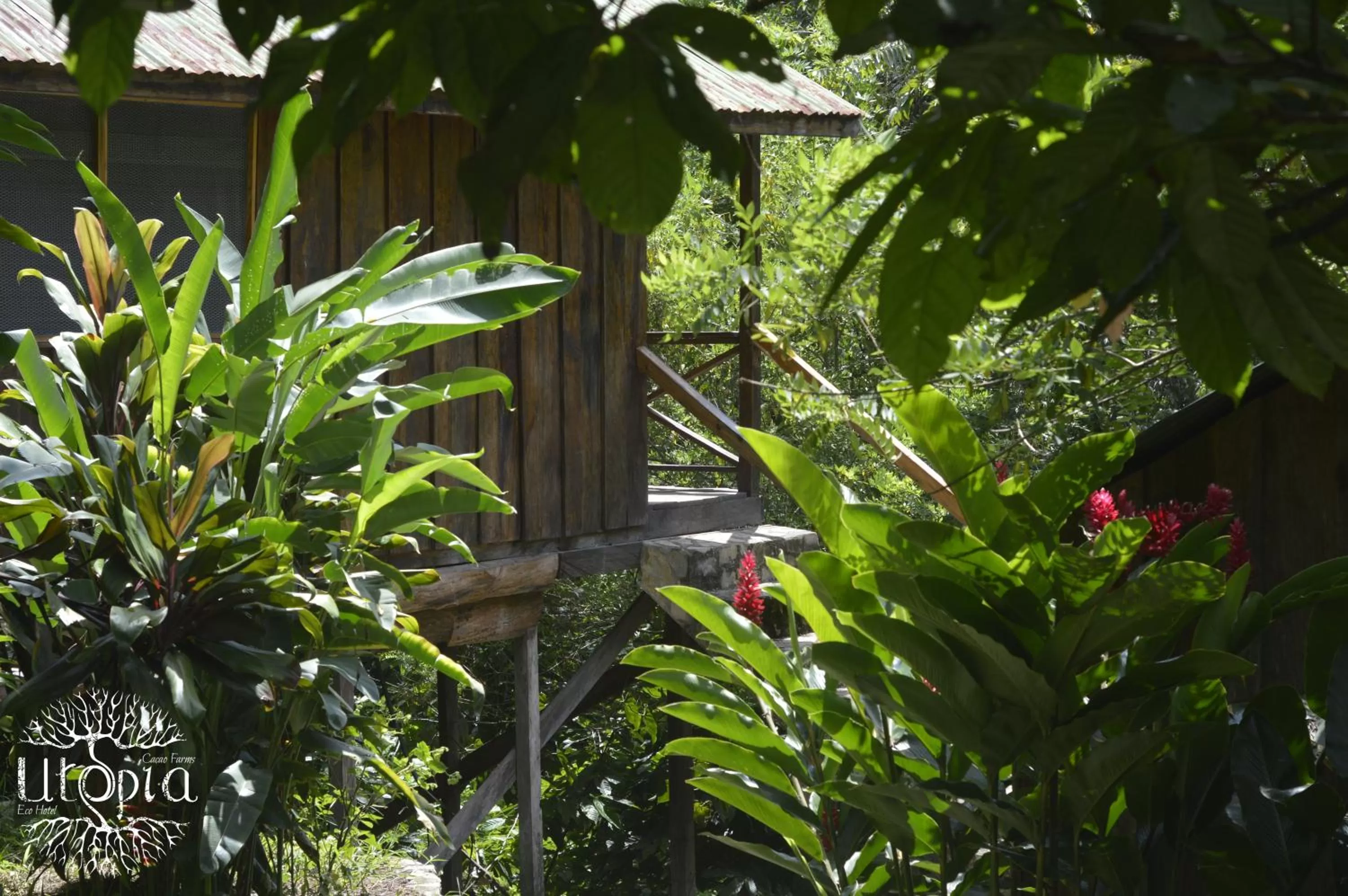 Natural landscape in Utopia Eco Hotel