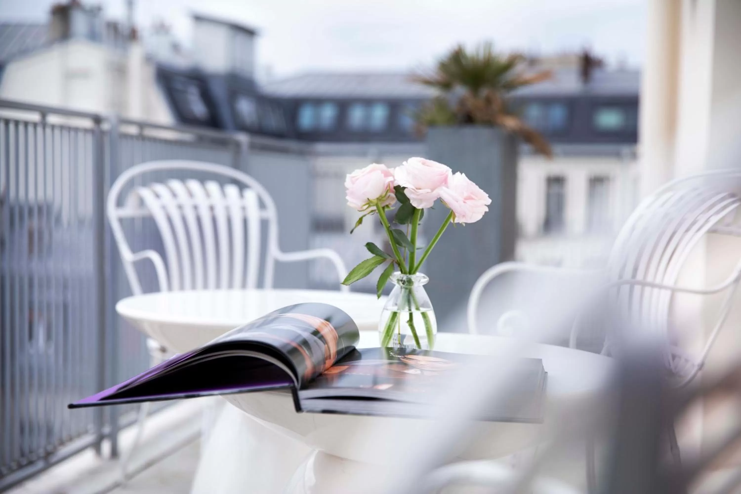 Balcony/Terrace in Hotel De Sers Champs Elysees