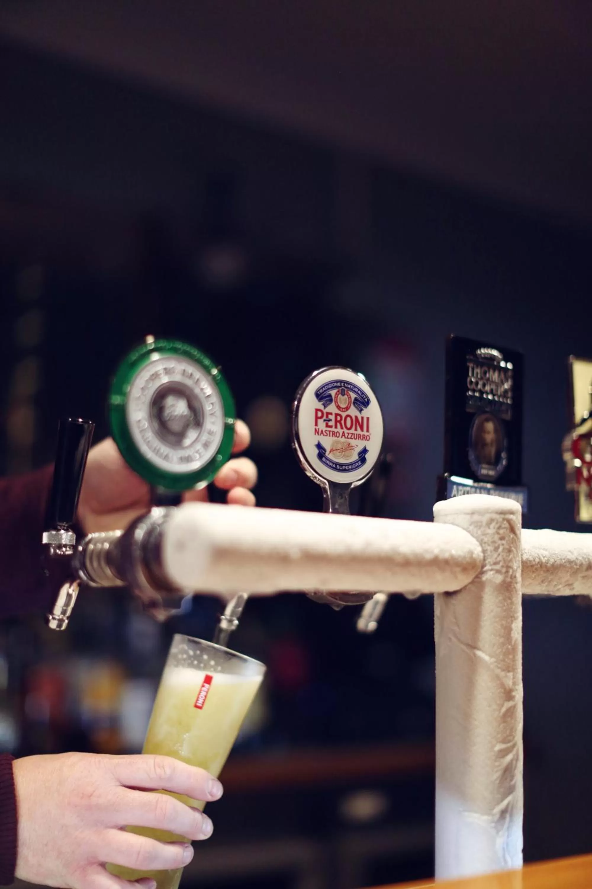 Lounge or bar in Cascades Motor Inn