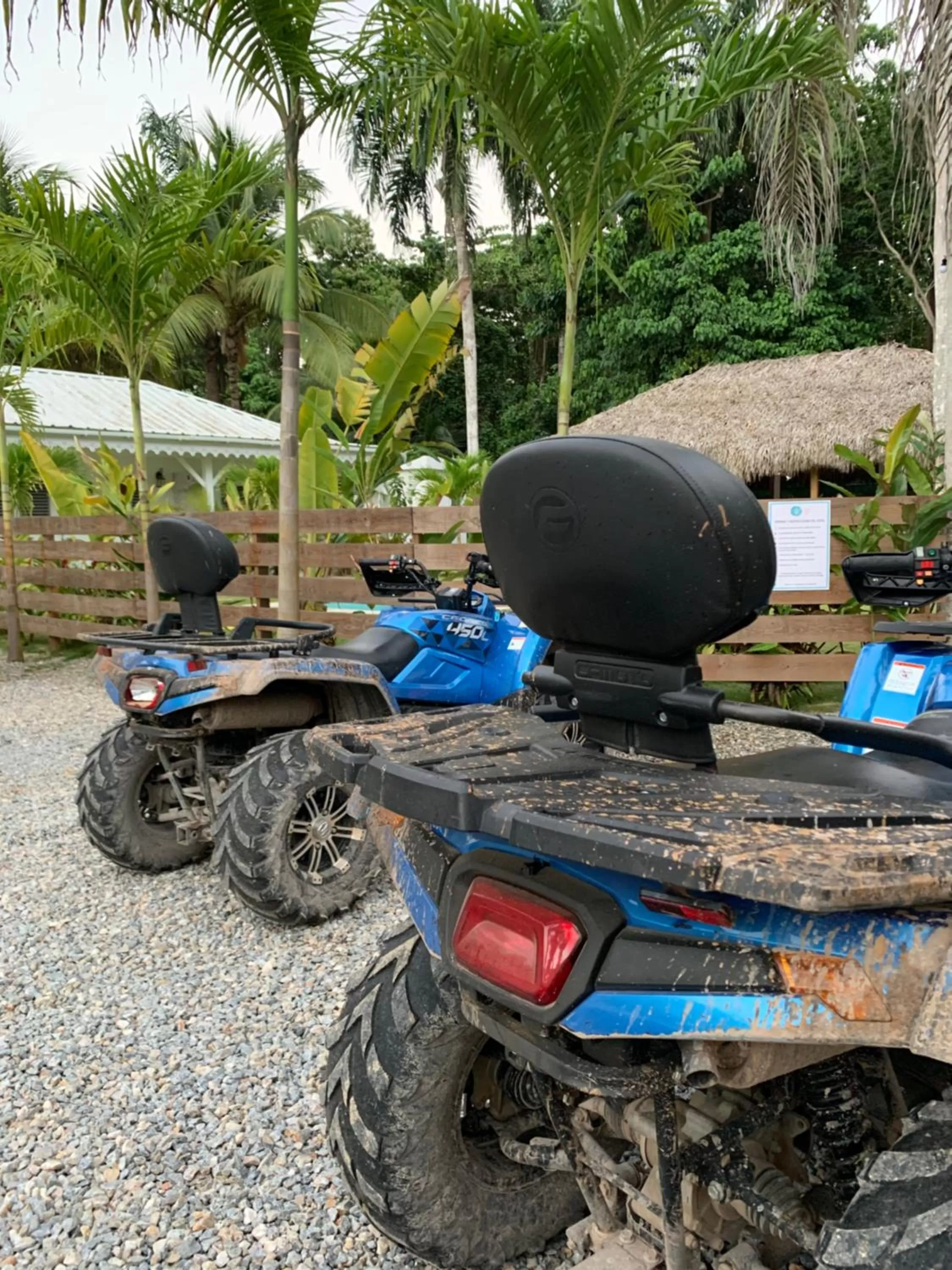 Activities in PUNTA POPY BOUTIQUE HOTEL - Adults Only