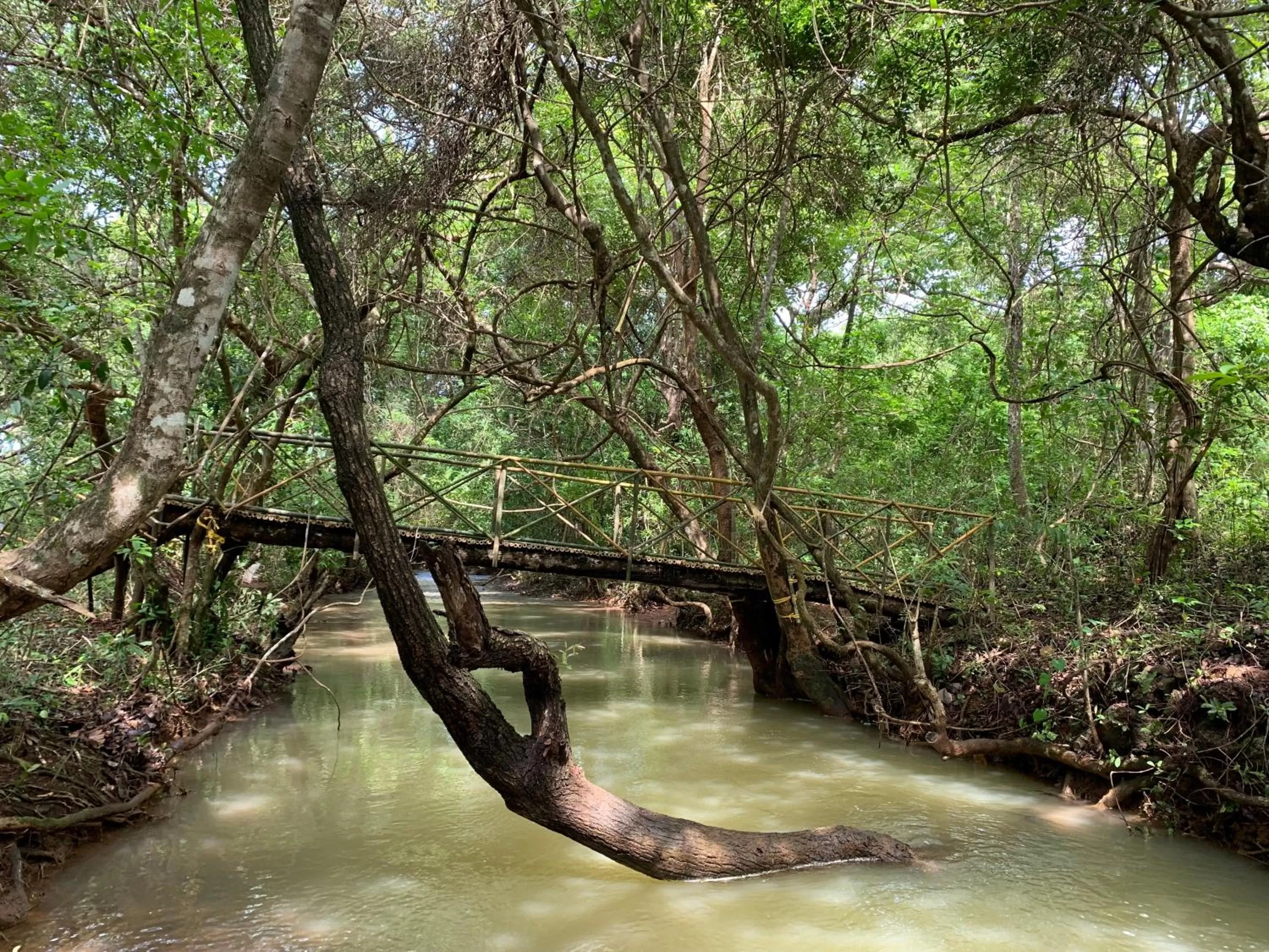 Natural landscape in Porsu