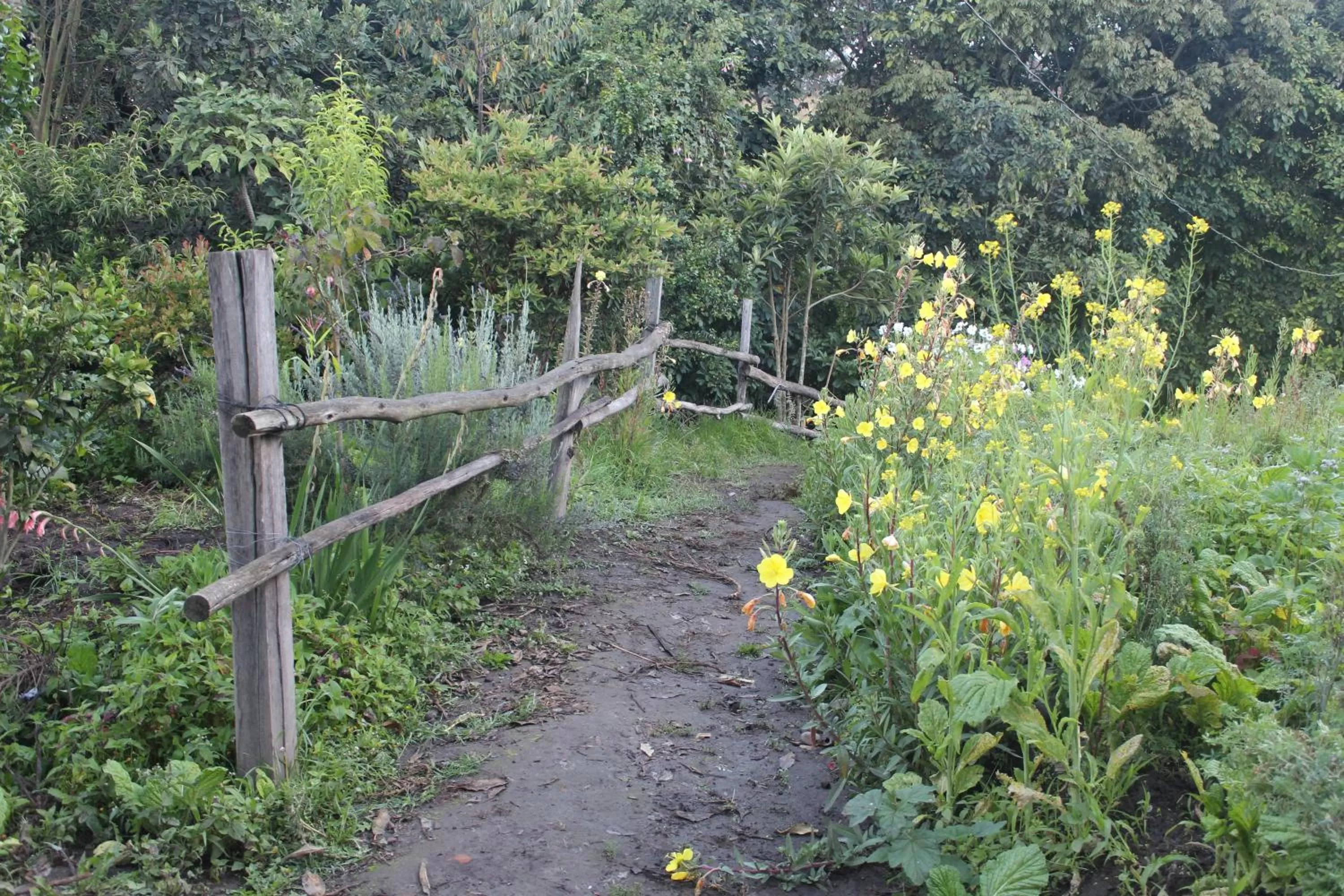 Natural landscape in El Tio Hostal