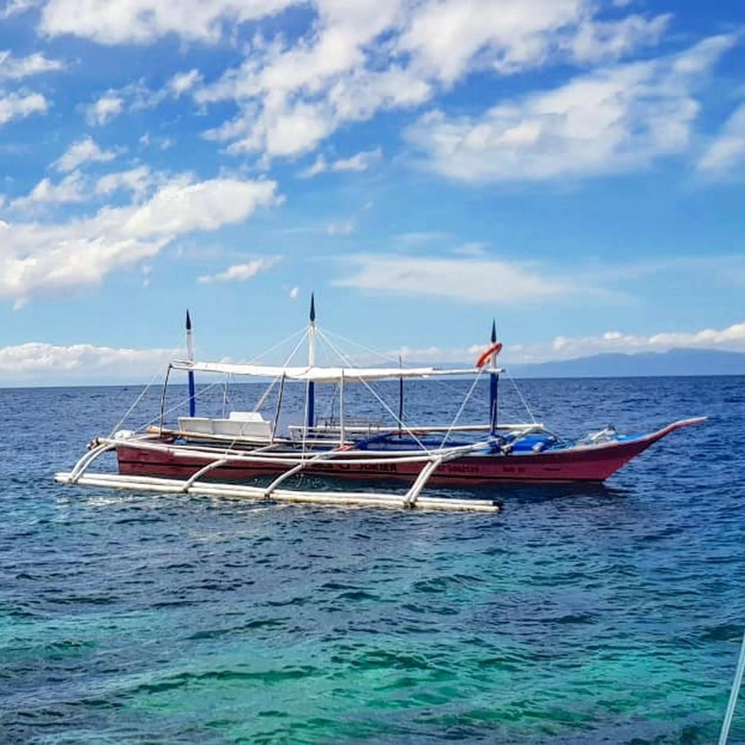 Natural landscape in Gaja Go Dive & Inn