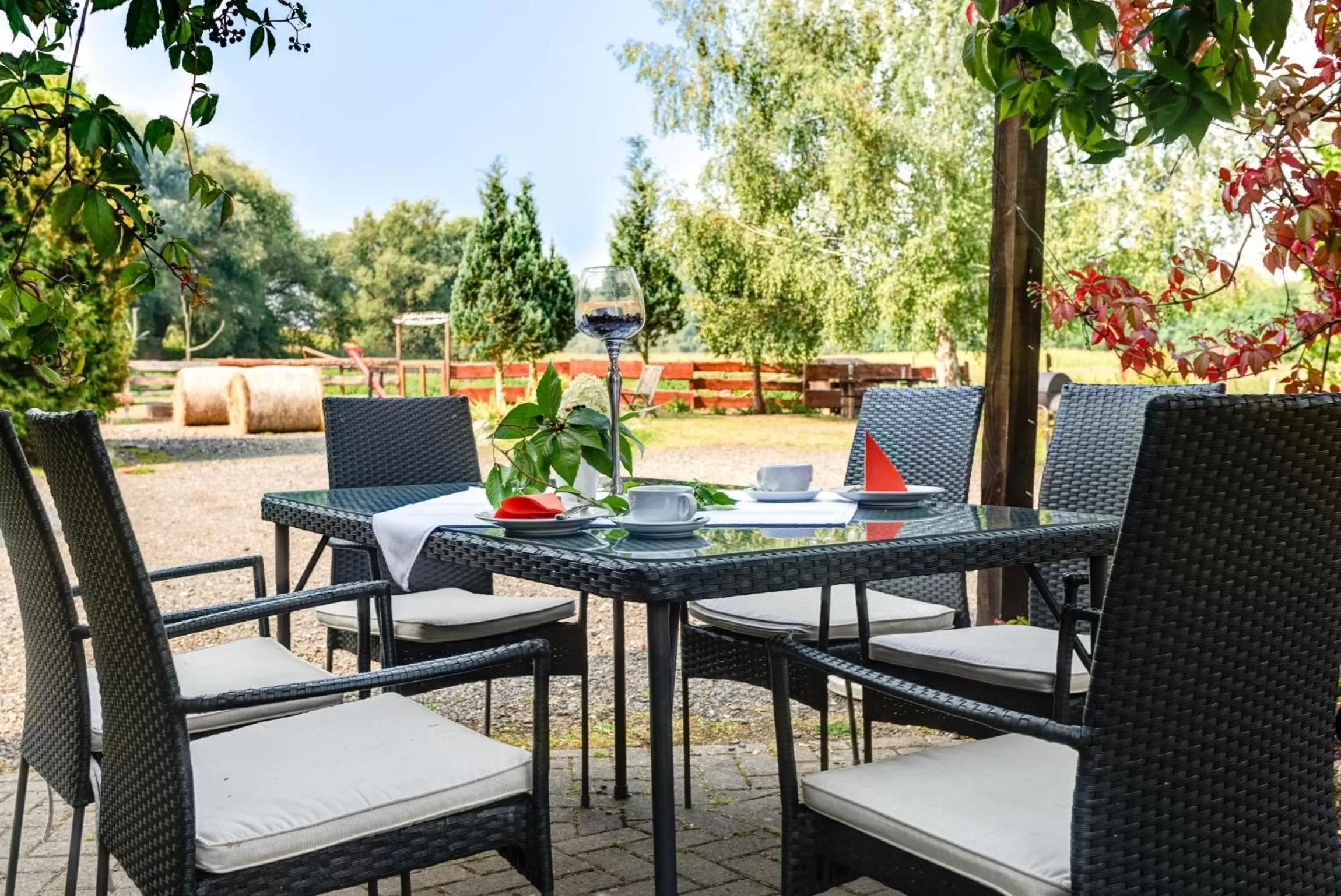 Balcony/Terrace in Hotel Weiße Mühle