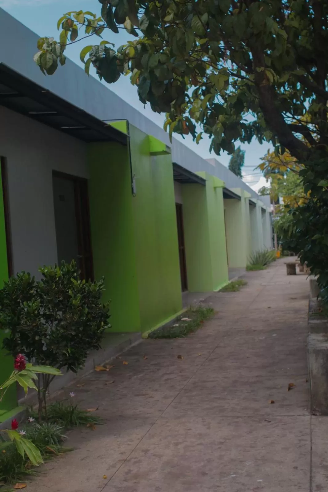 Property Building in Airport X Managua