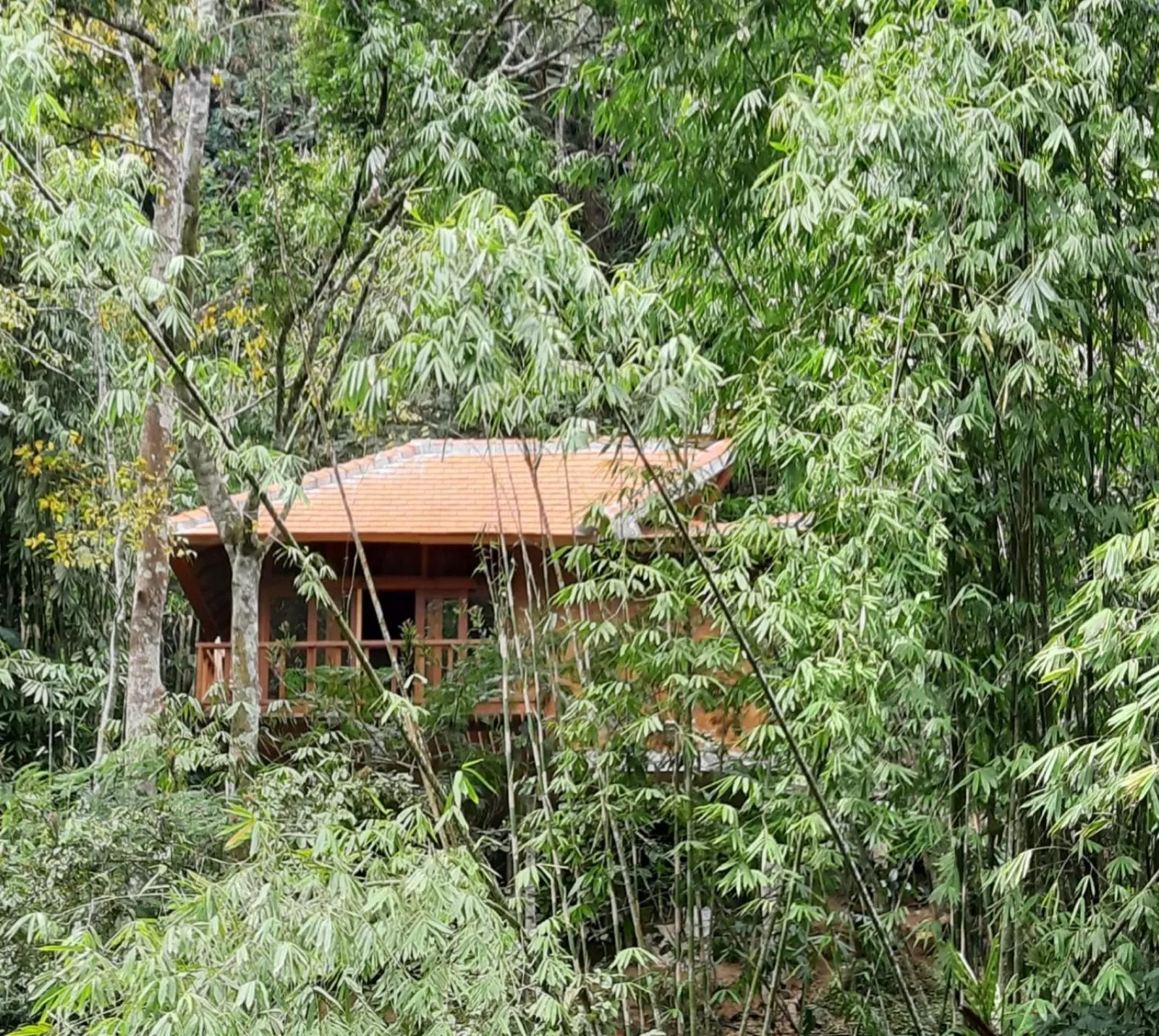 Day in Gumi Ayu EcoStay