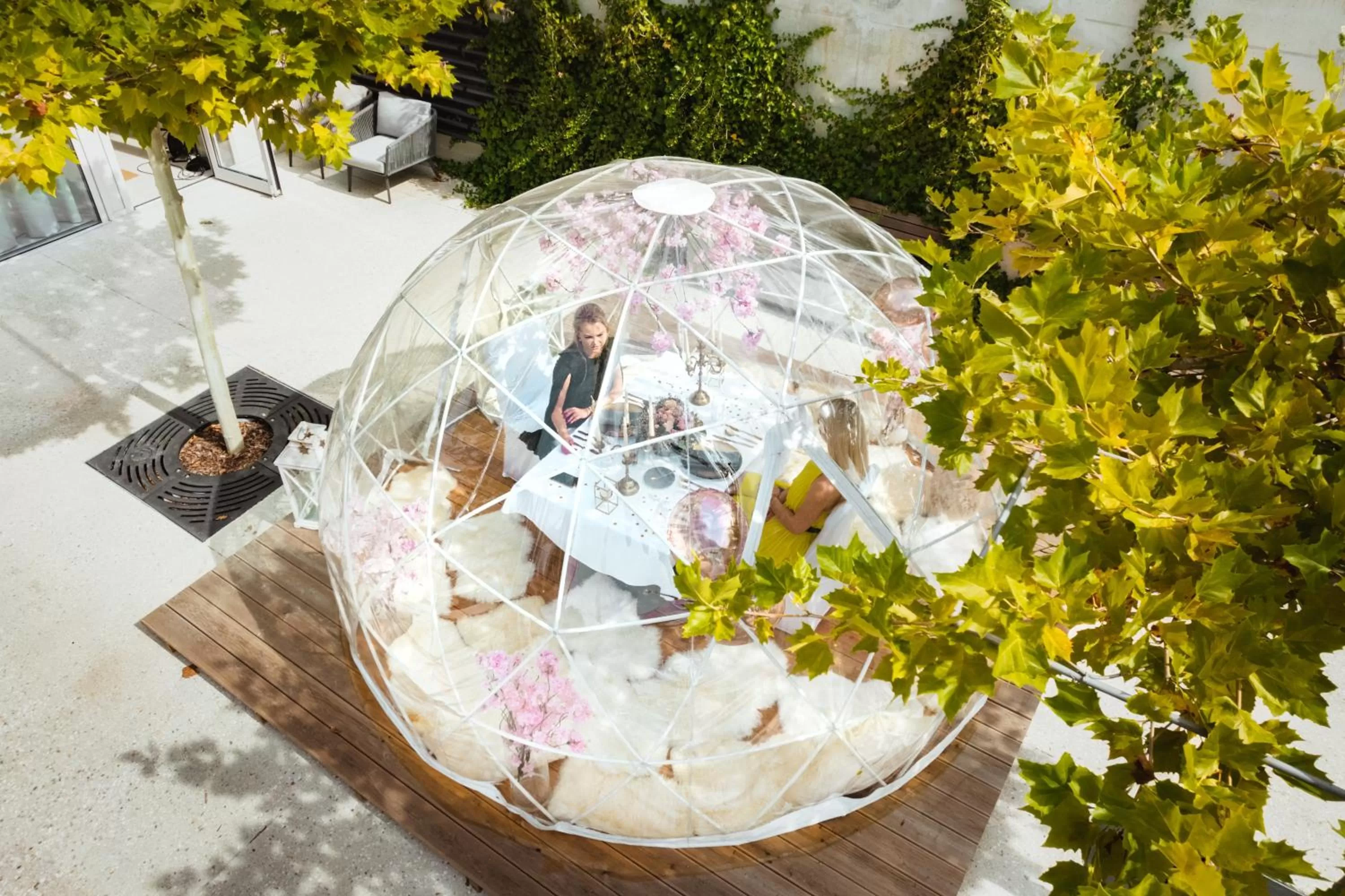 Restaurant/places to eat in Bled Rose Hotel