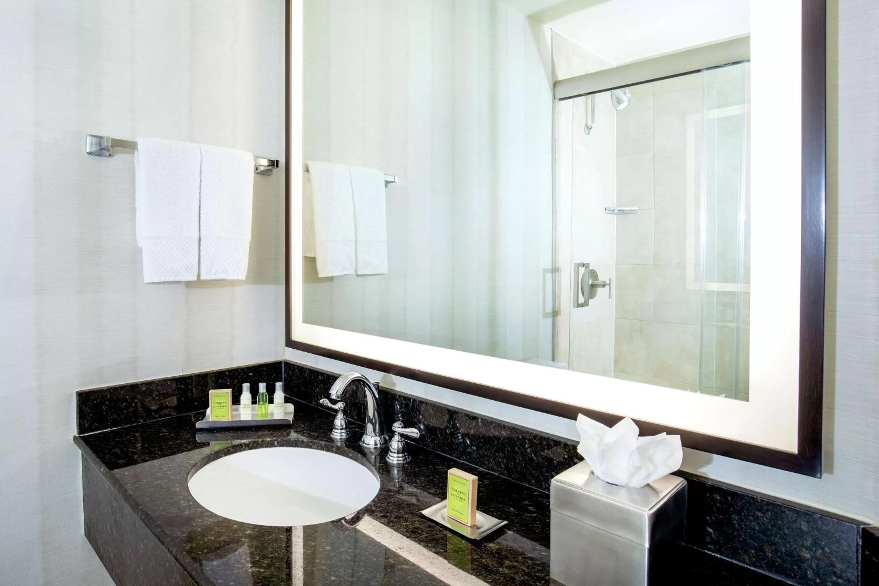 Bathroom in DoubleTree by Hilton Hotel Nashville Downtown