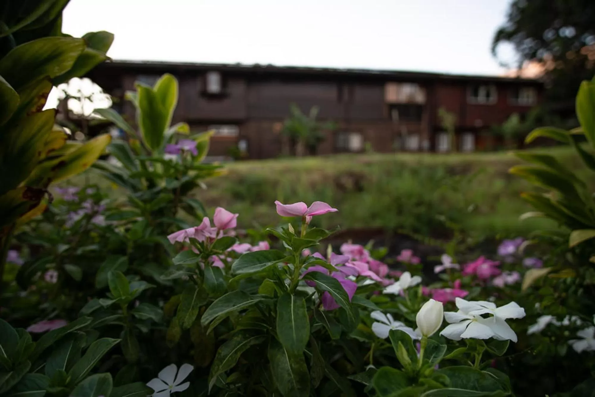 Area and facilities in God's Peace of Maui