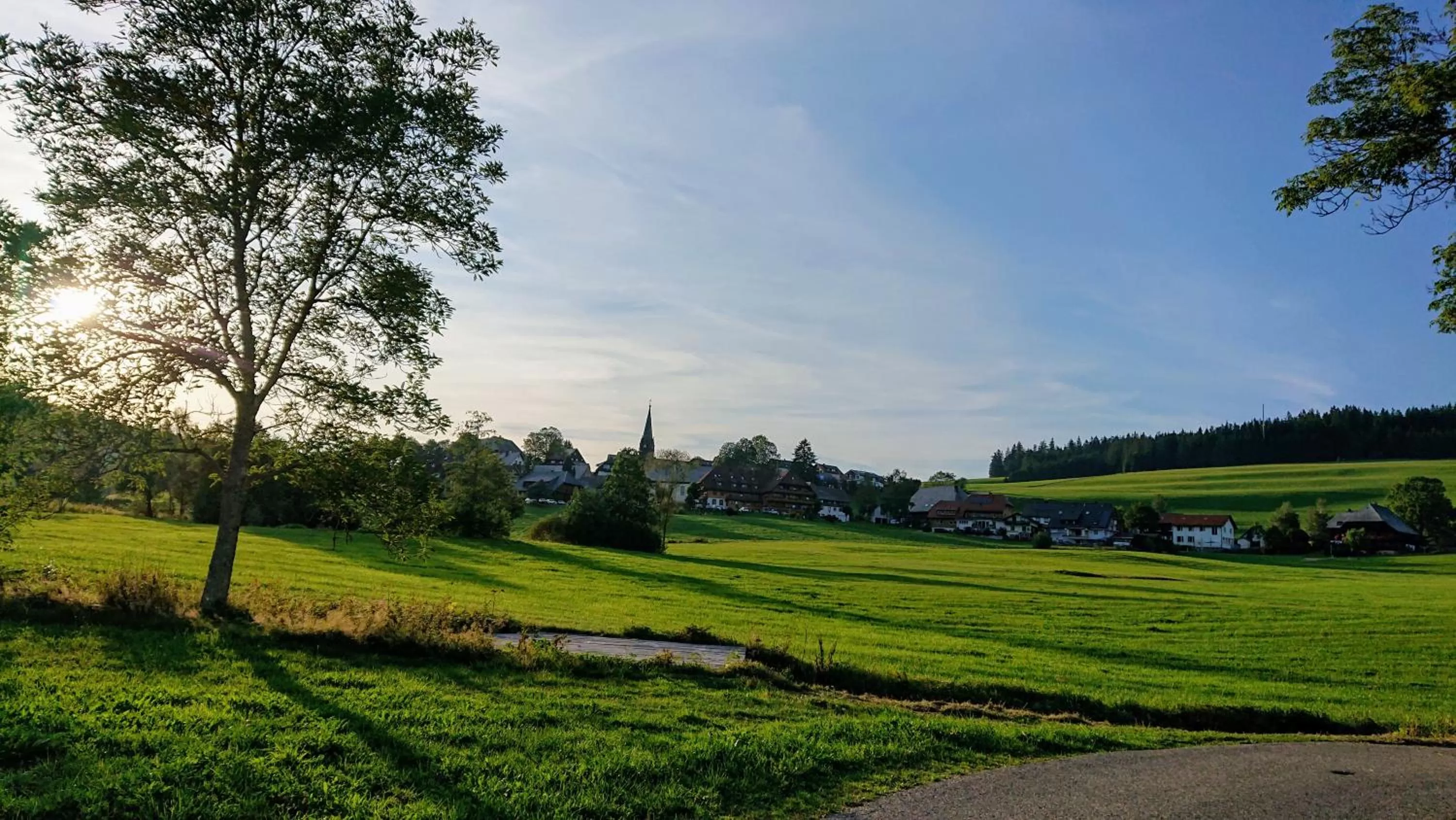 Natural landscape in ZUR TRAUBE Schwarzwaldhotel & Restaurant am Titisee
