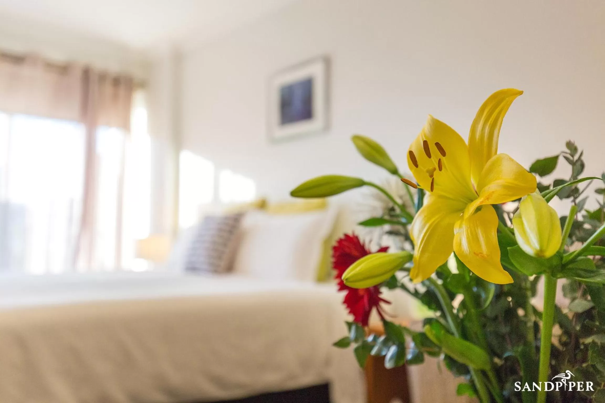 Decorative detail, Bed in Sandpiper Motel Apollo Bay