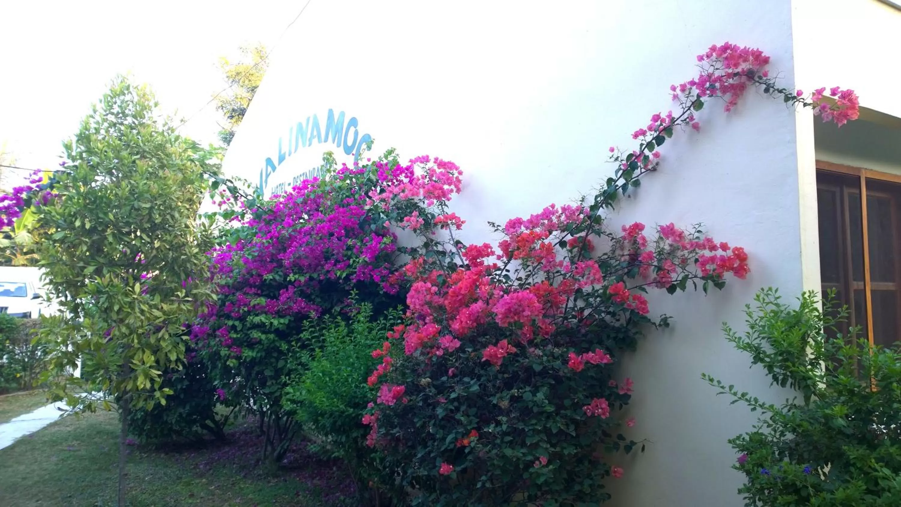 Garden in Malinamoc Paradise