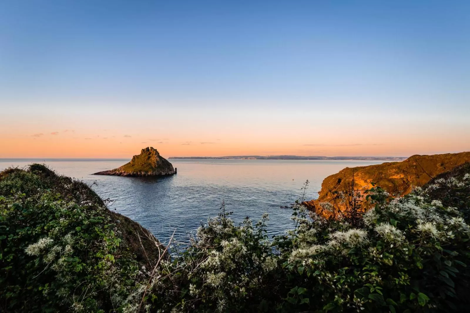 Location in Palm Grove Apartments