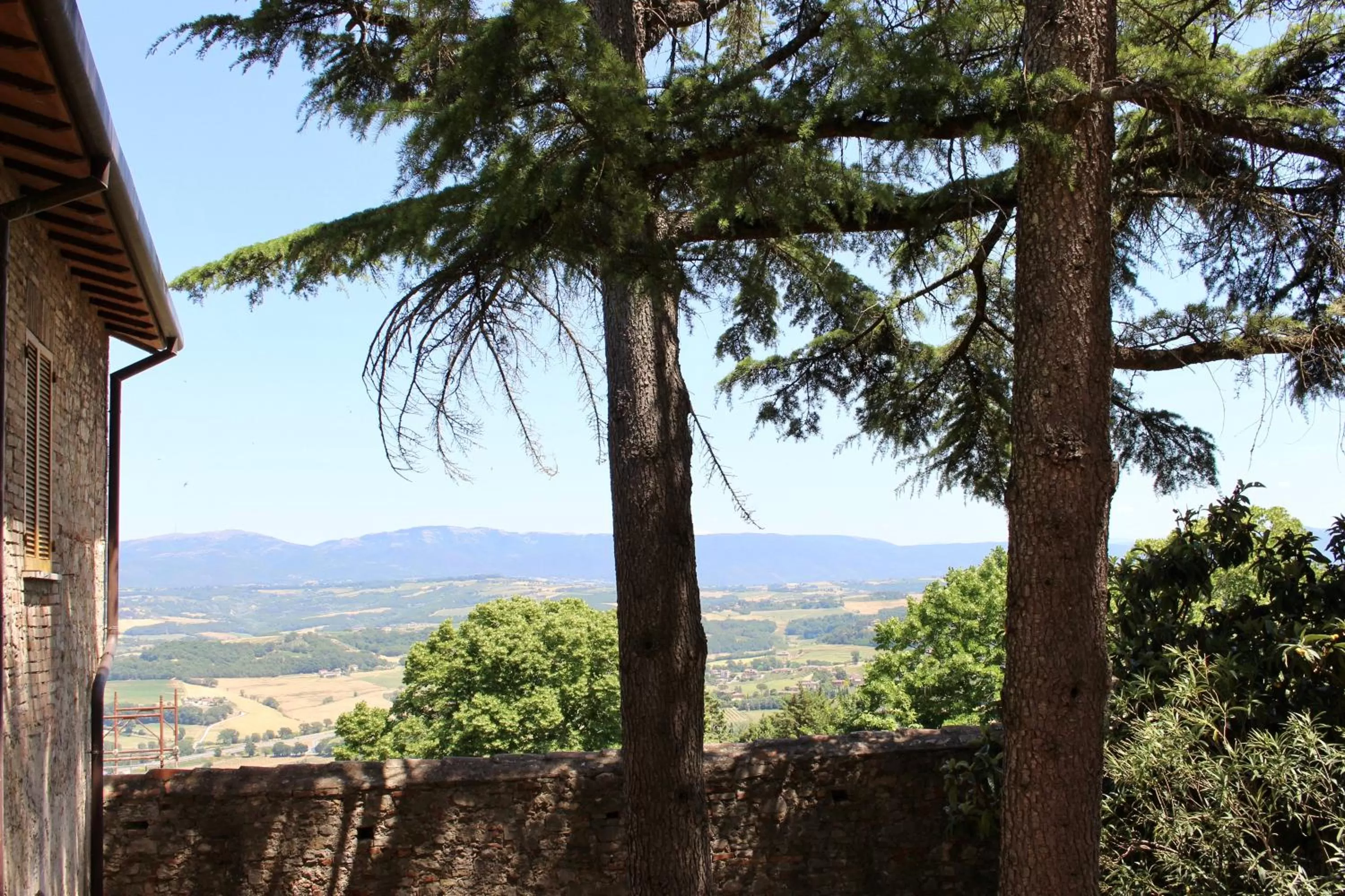 Garden in Monastero SS. Annunziata