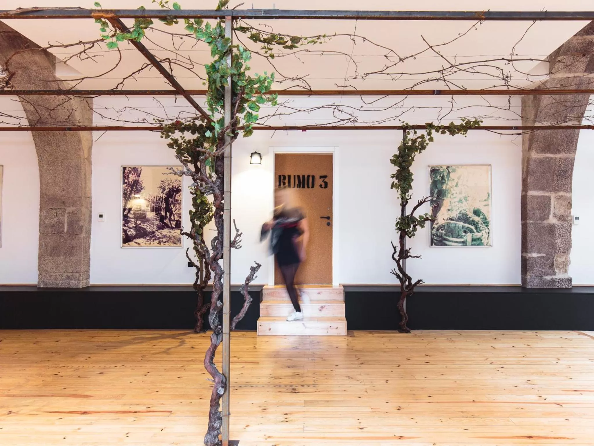 Area and facilities in The House of Sandeman