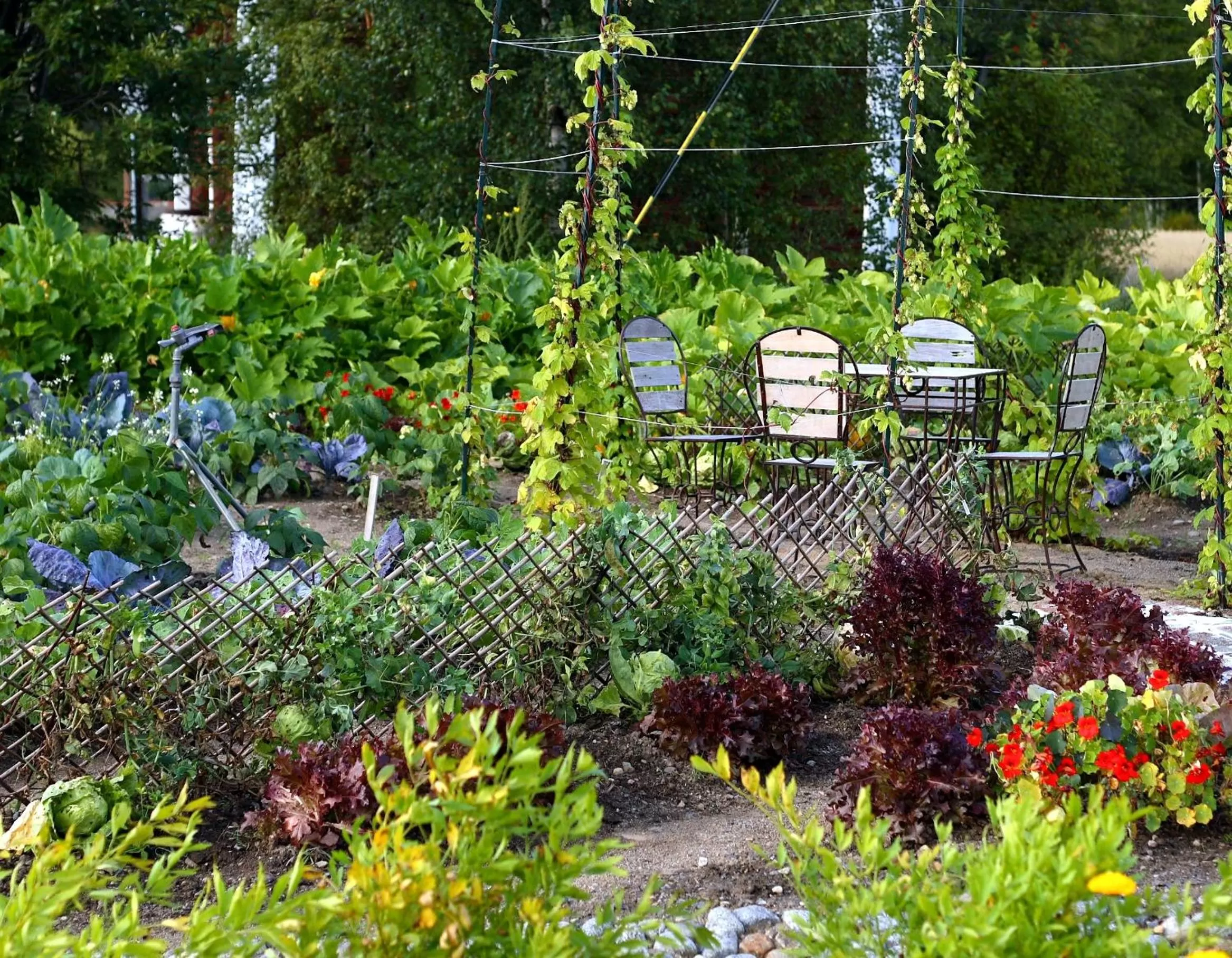 Patio in Tertin Kartano