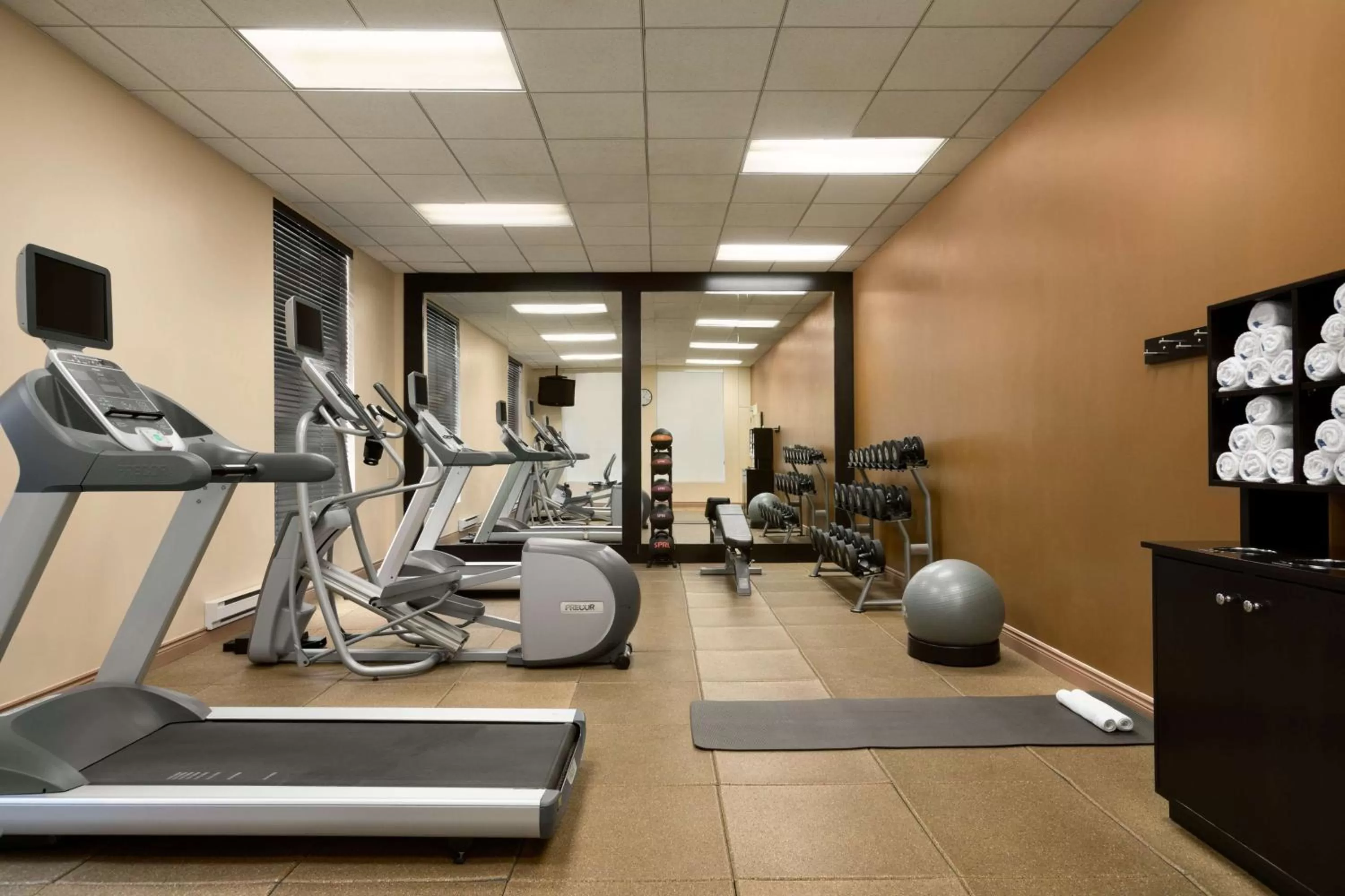 Fitness centre/facilities in Hilton Garden Inn Toronto/Vaughan