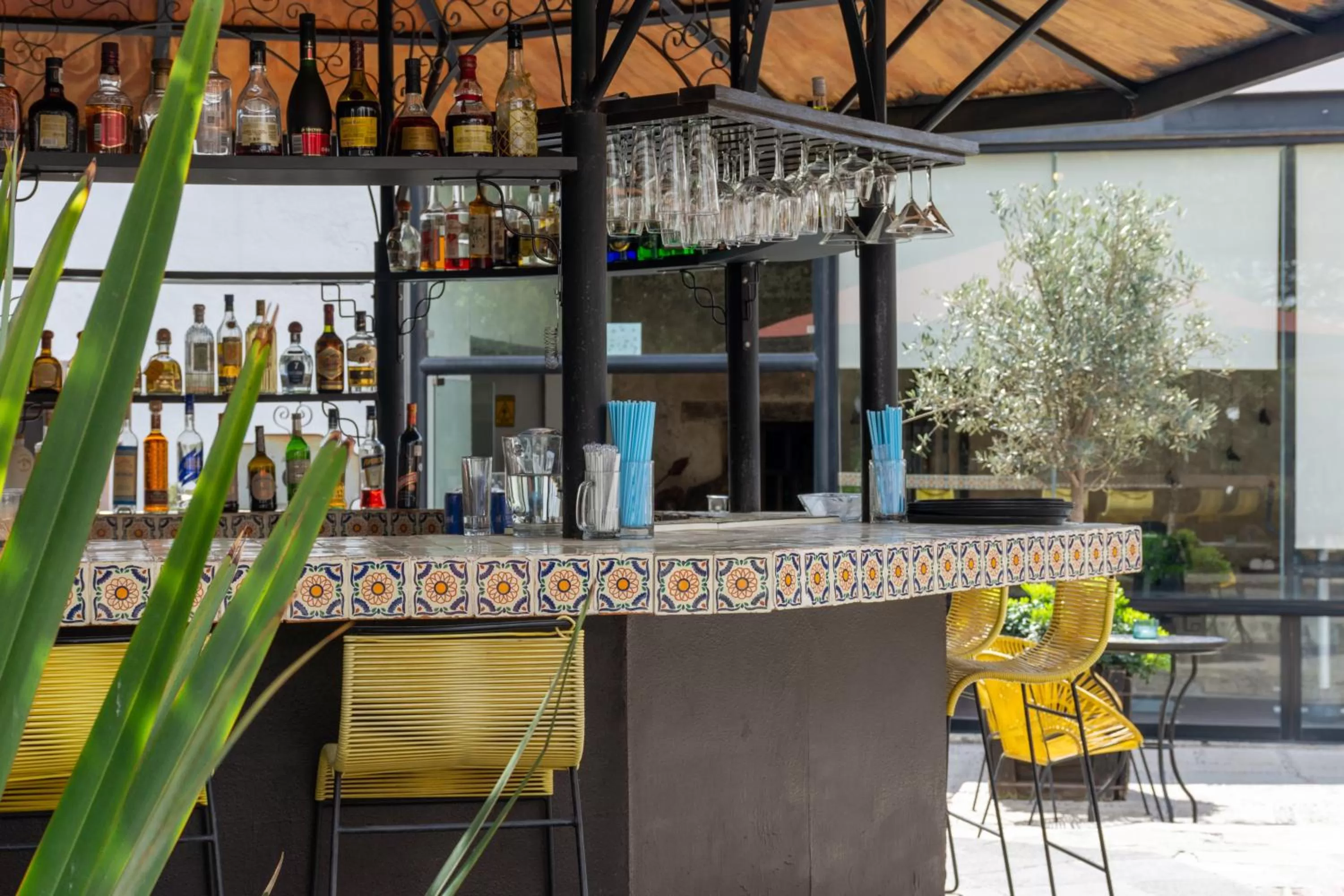 Lounge or bar in Hotel Hacienda San Cristóbal