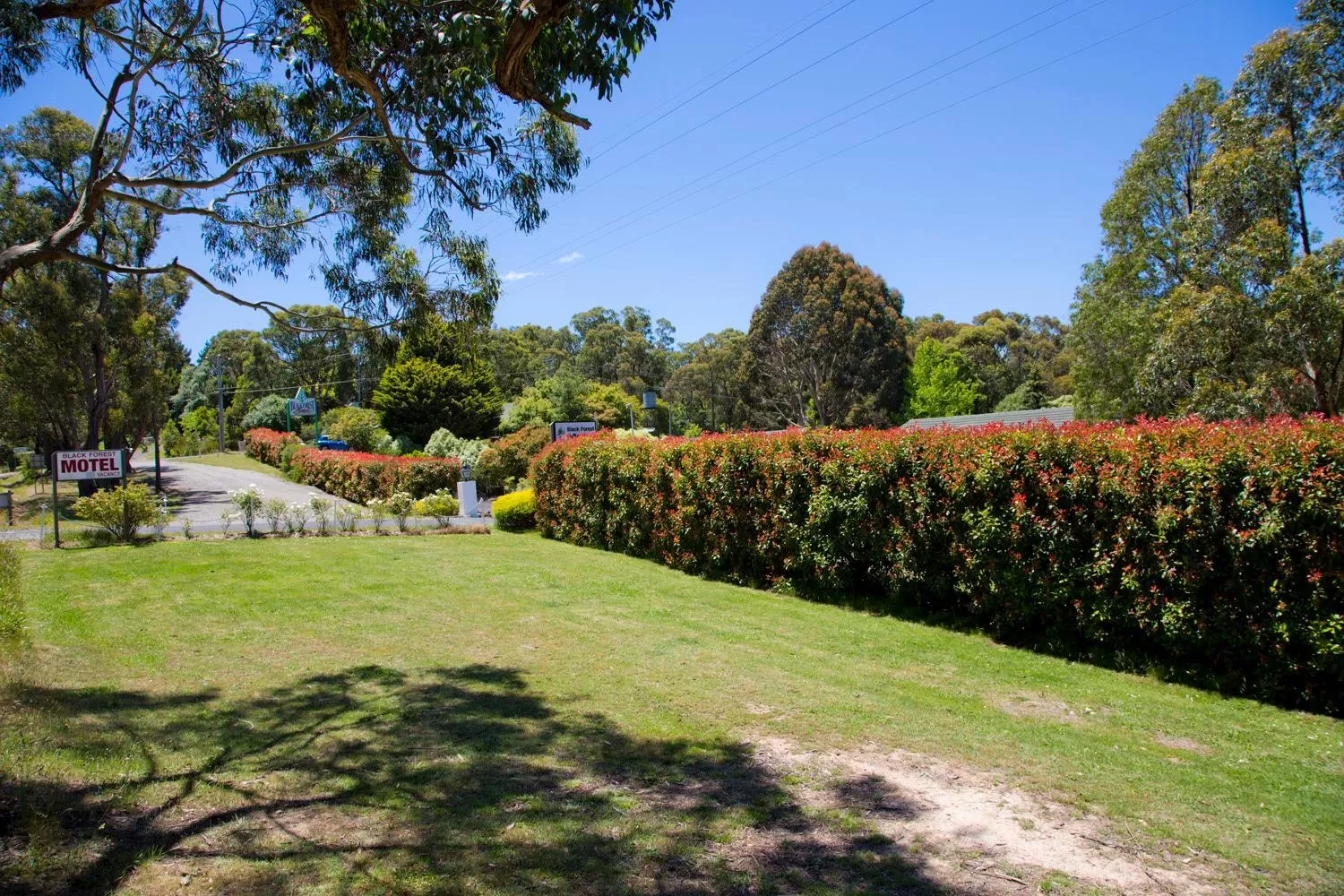 Day in Black Forest Motel