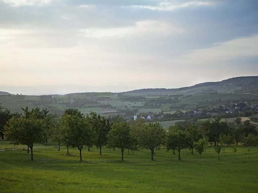 View (from property/room) in Landhotel Graf