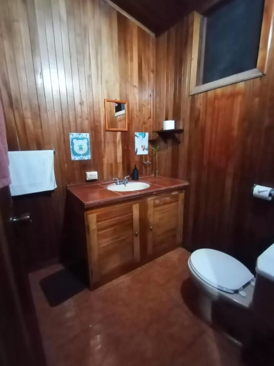 Birds & Breakfast Costa Rica