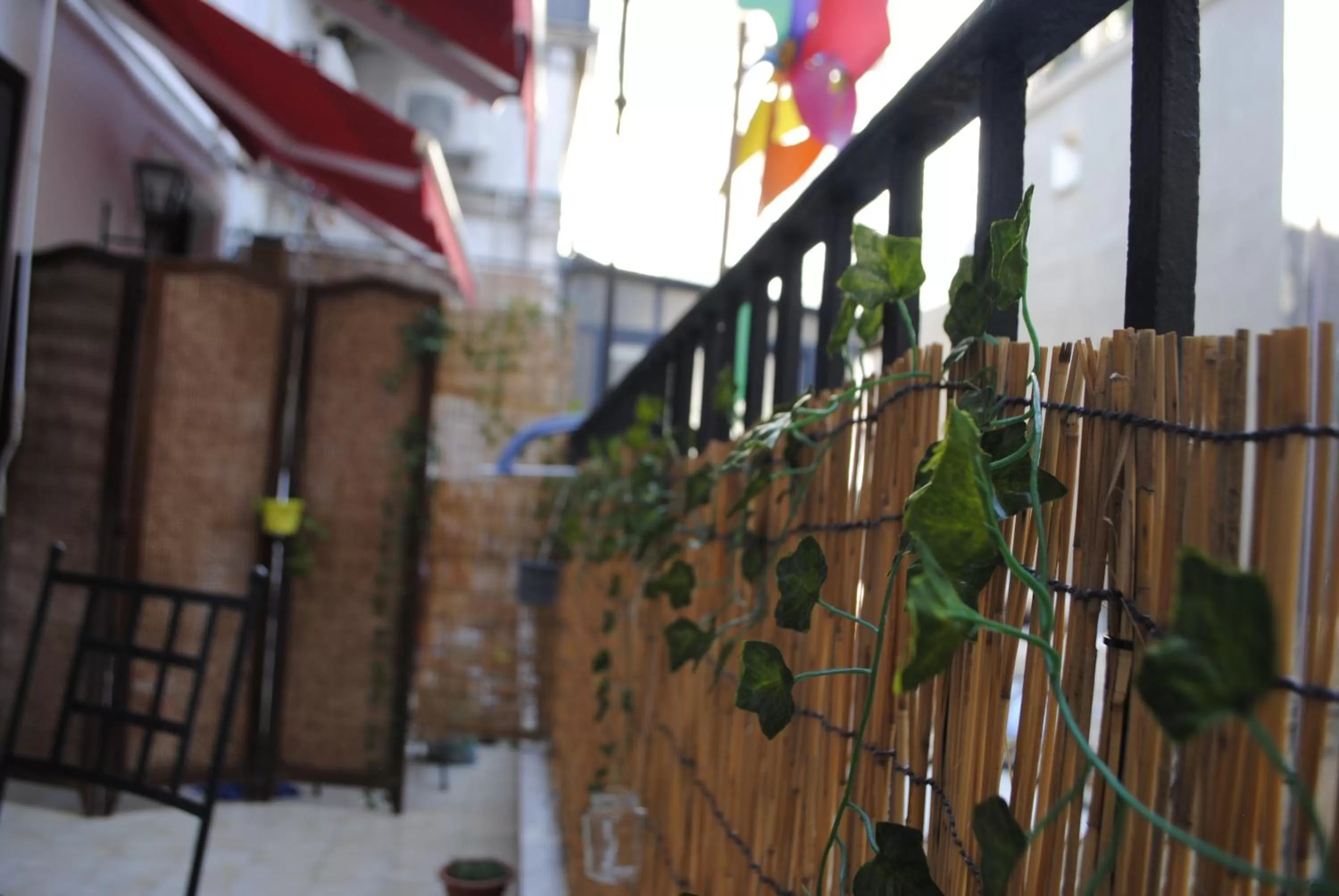 Balcony/Terrace in B&B Palazzo Sant'Alfano