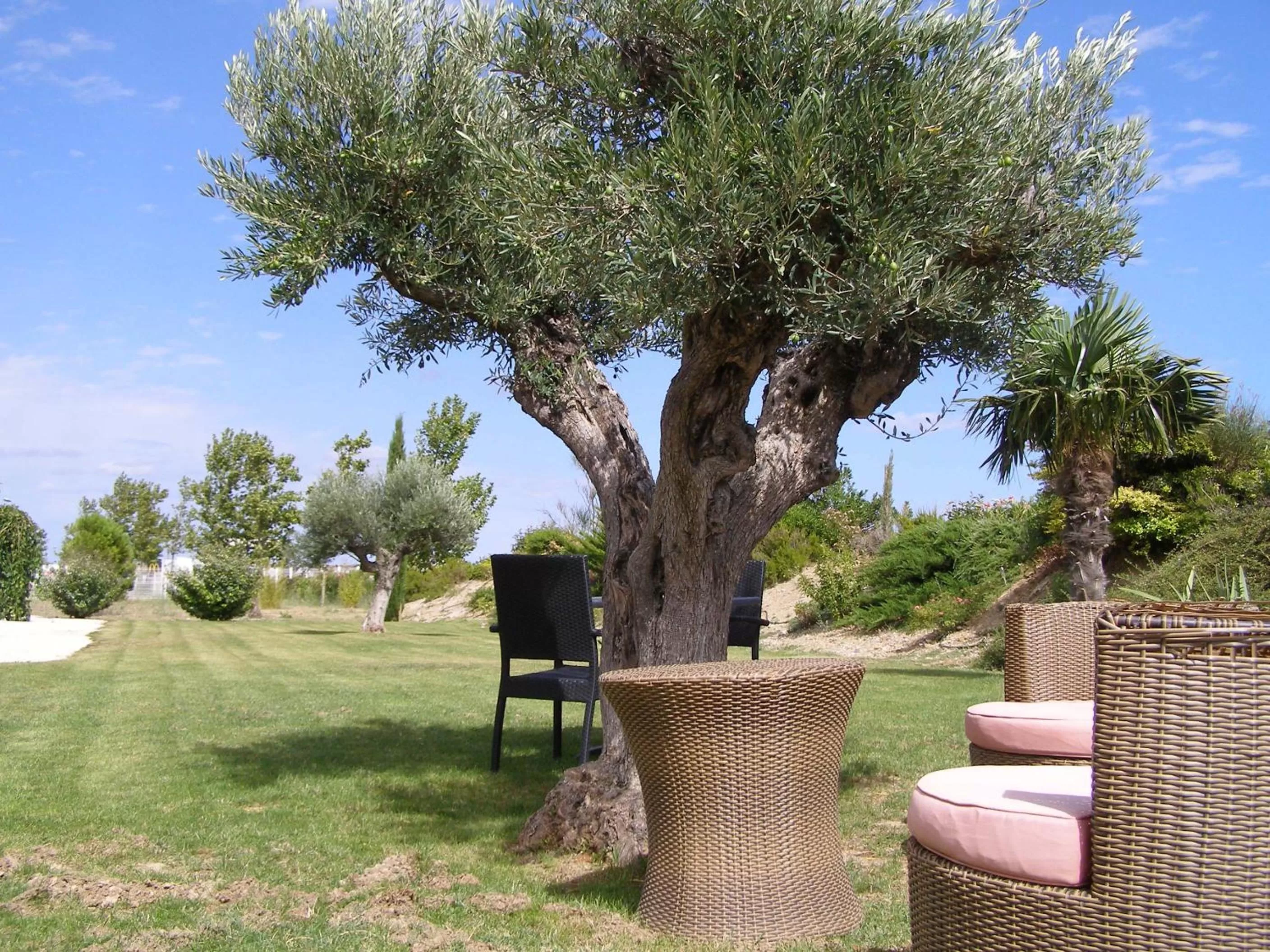 Patio in Le Mas De Gaujac