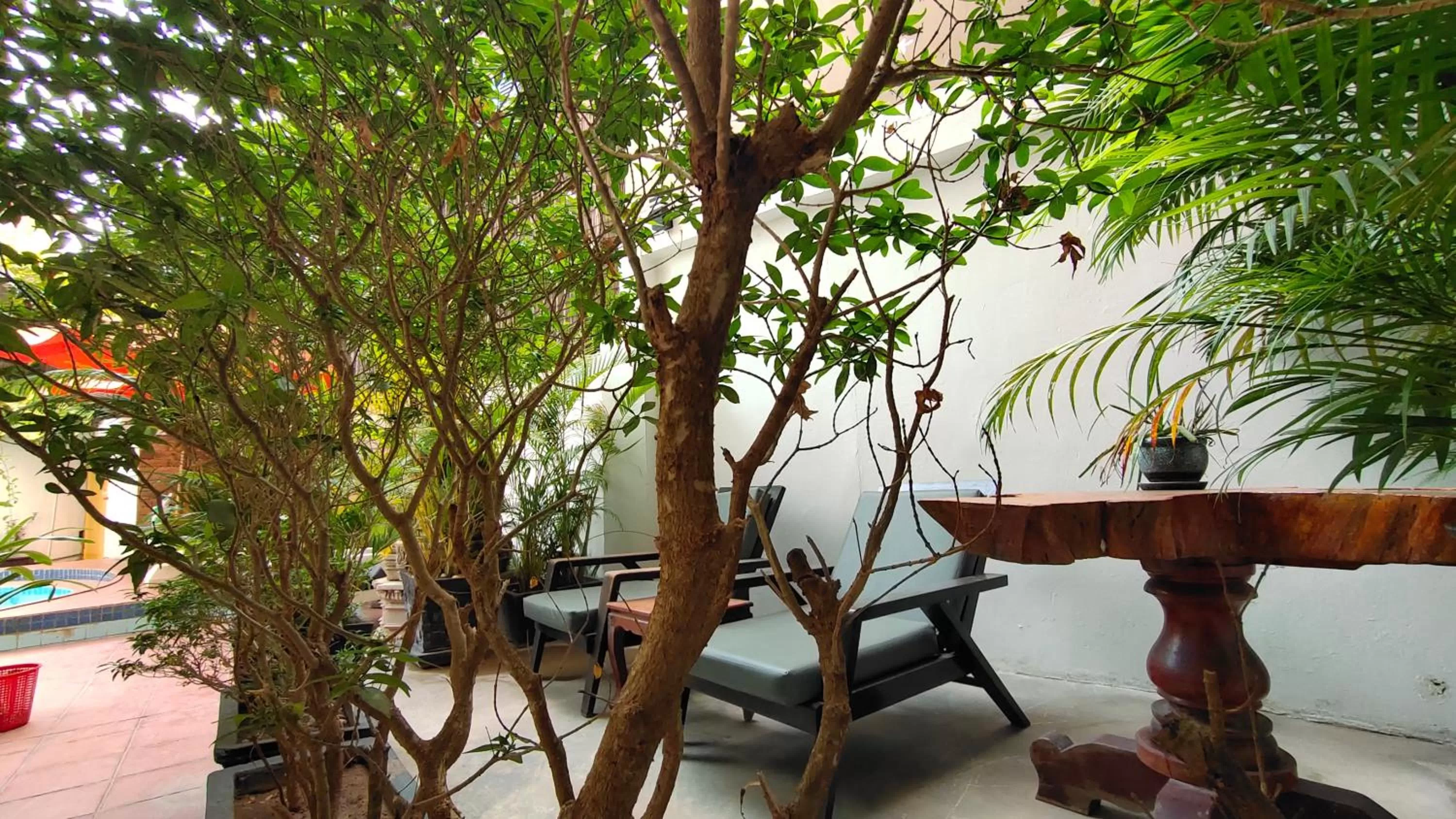 Garden in La Villa du Bonheur