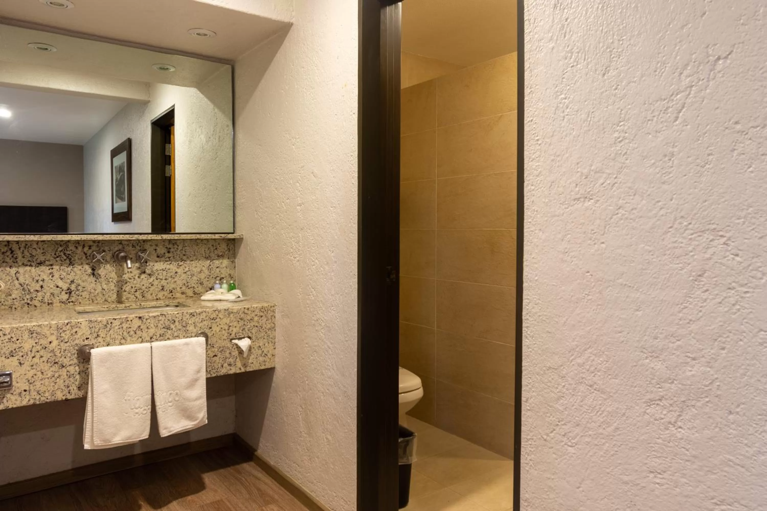 Shower in Hotel Flamingo Inn