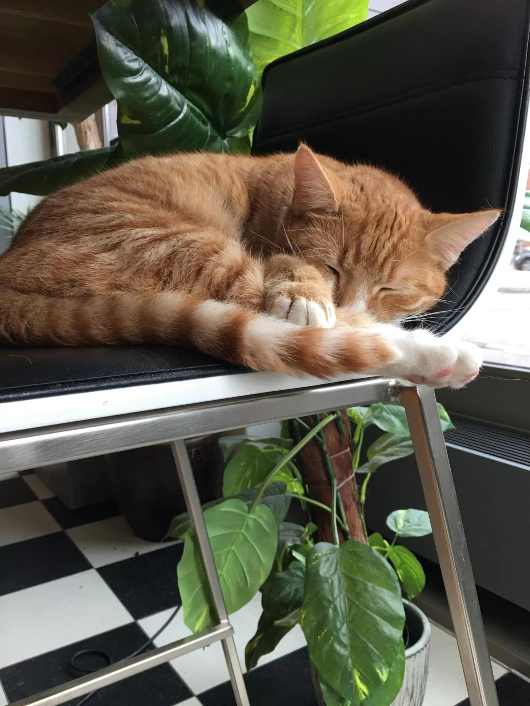 Staff in Hotel Mosaic City Centre