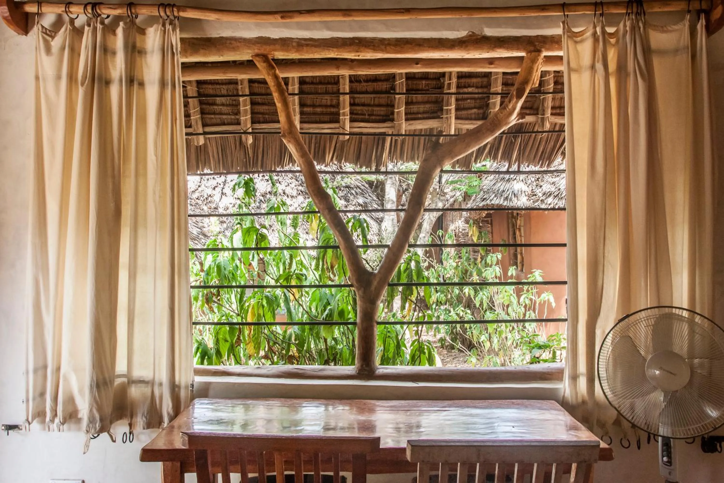 Garden view in Distant Relatives Ecolodge & Backpackers