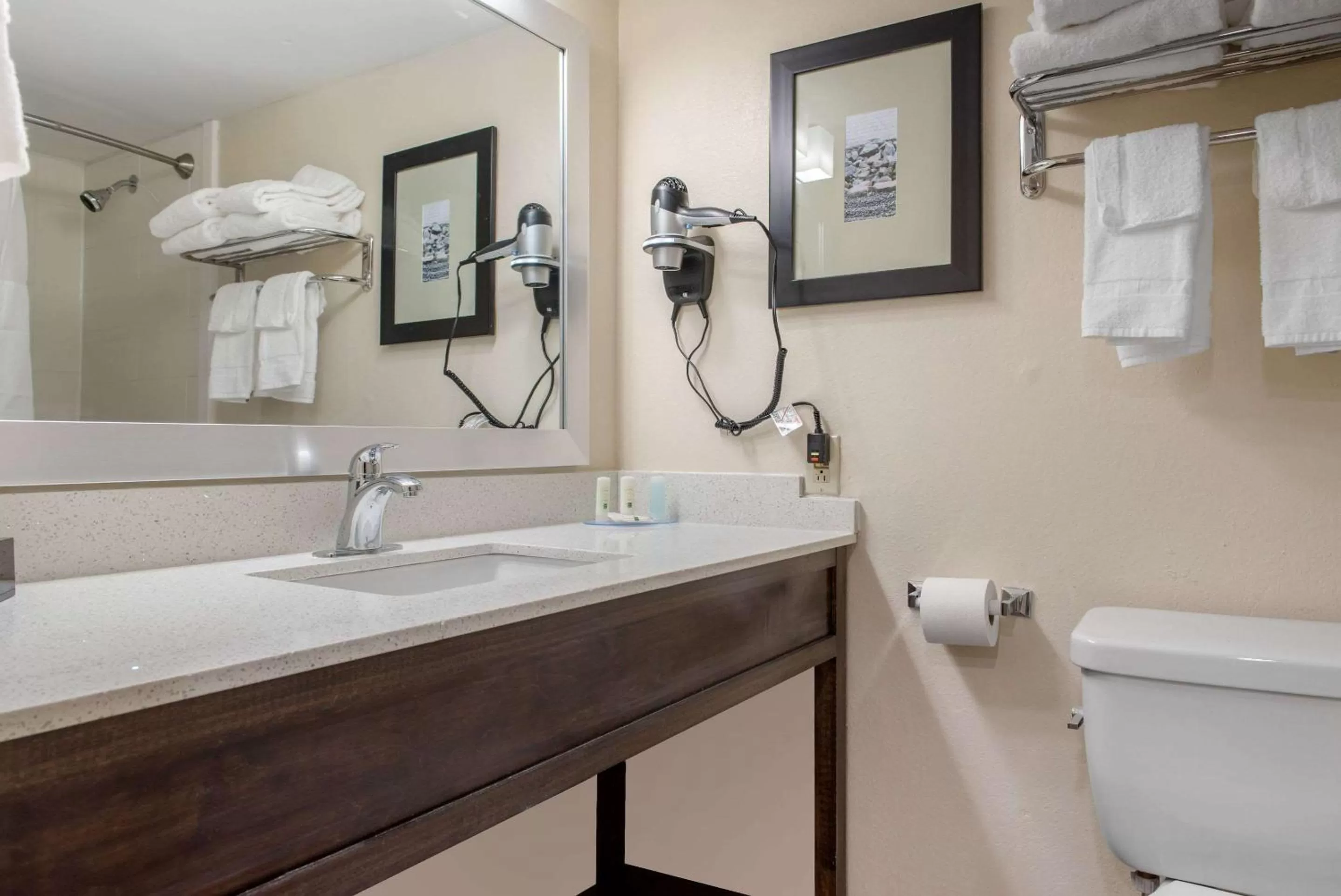 Toilet in Quality Inn and Conference Center