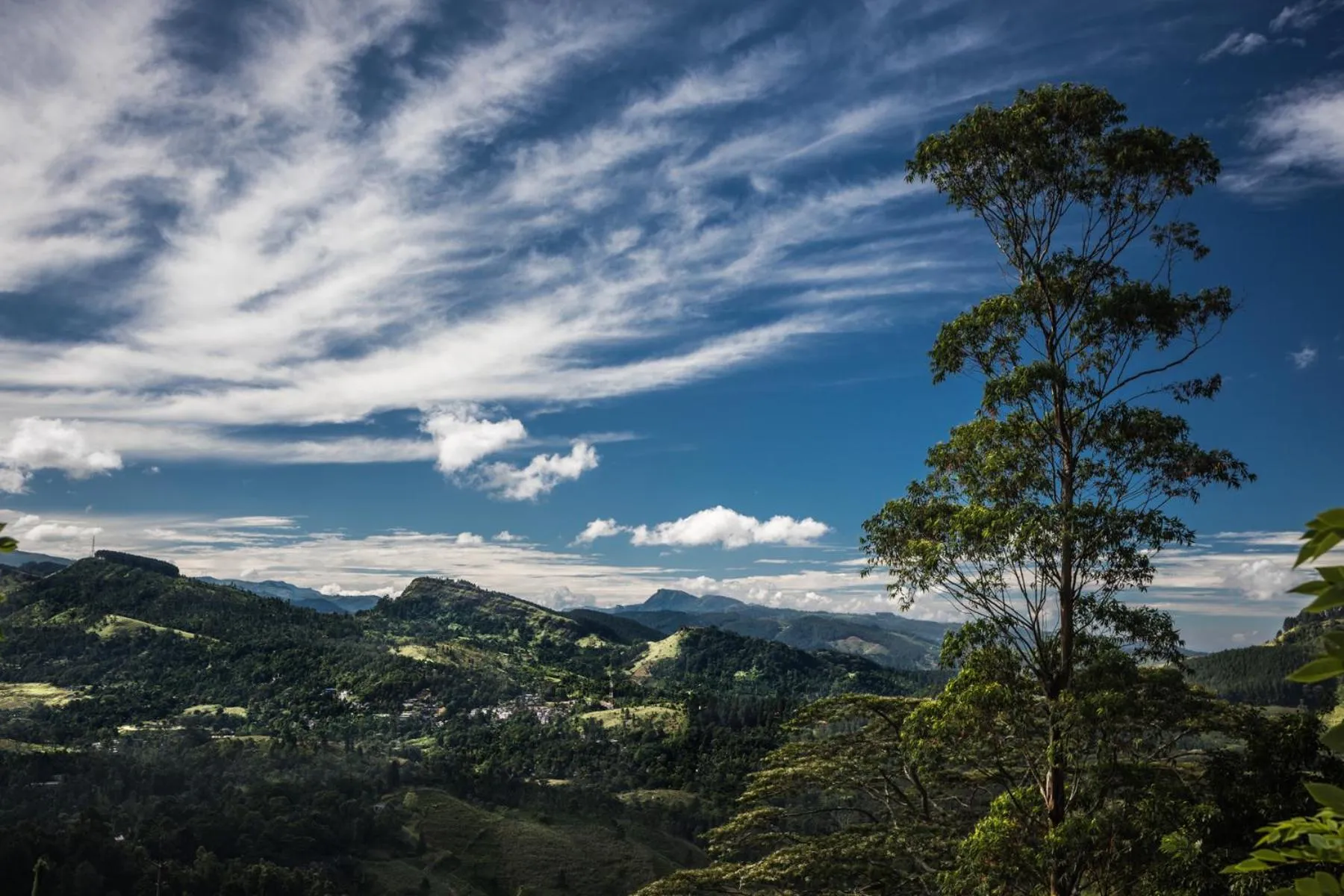 Mountain view in Yasmin Hill Longevity Oasis