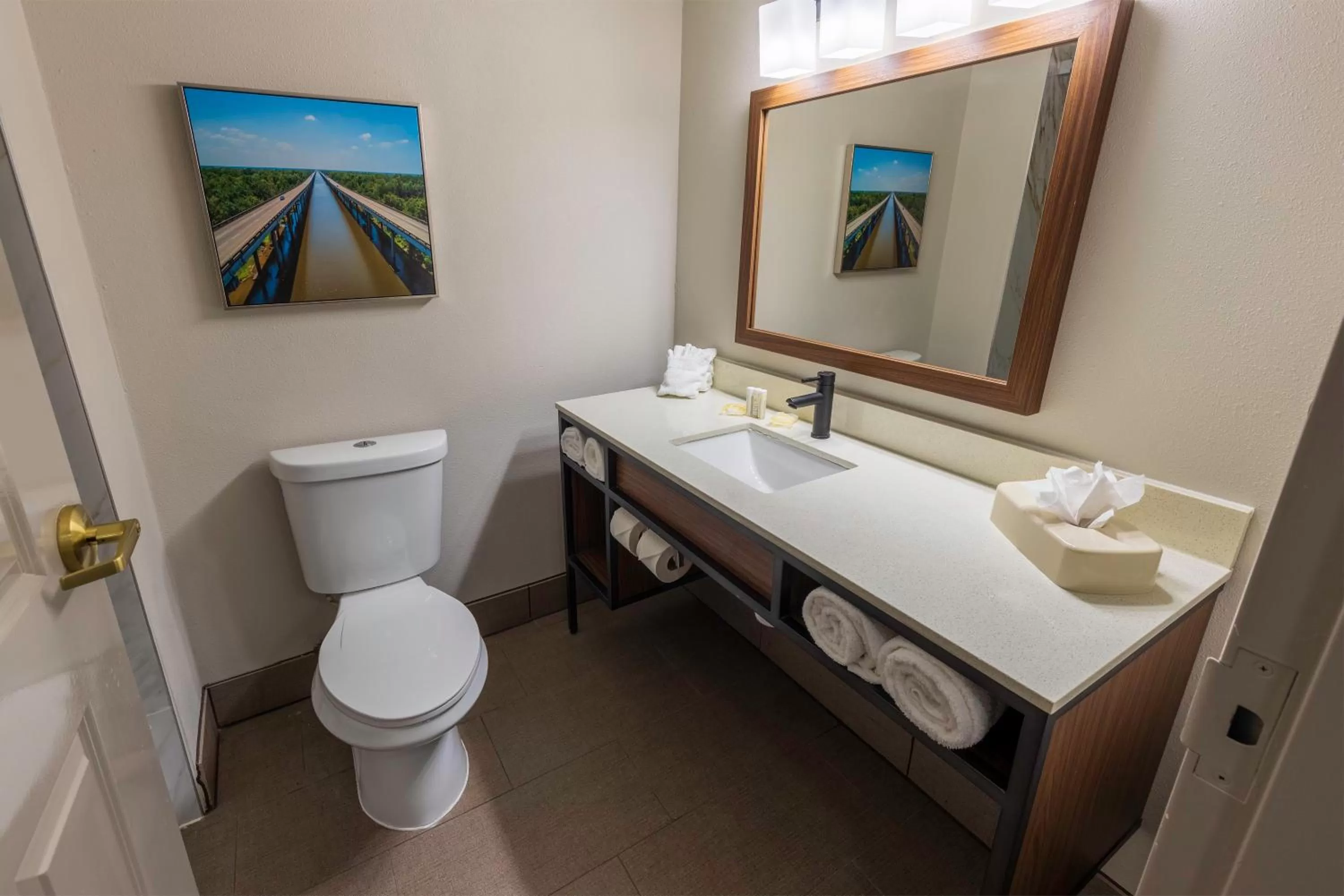 Shower, Bed in Wingate by Wyndham Lafayette Airport