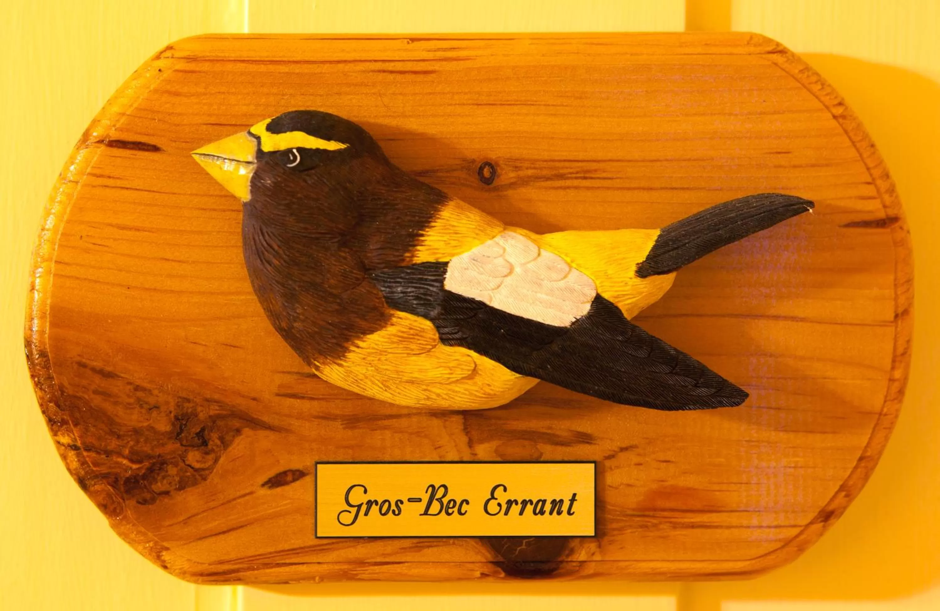 Bedroom, Other Animals in À Amour et Amitié