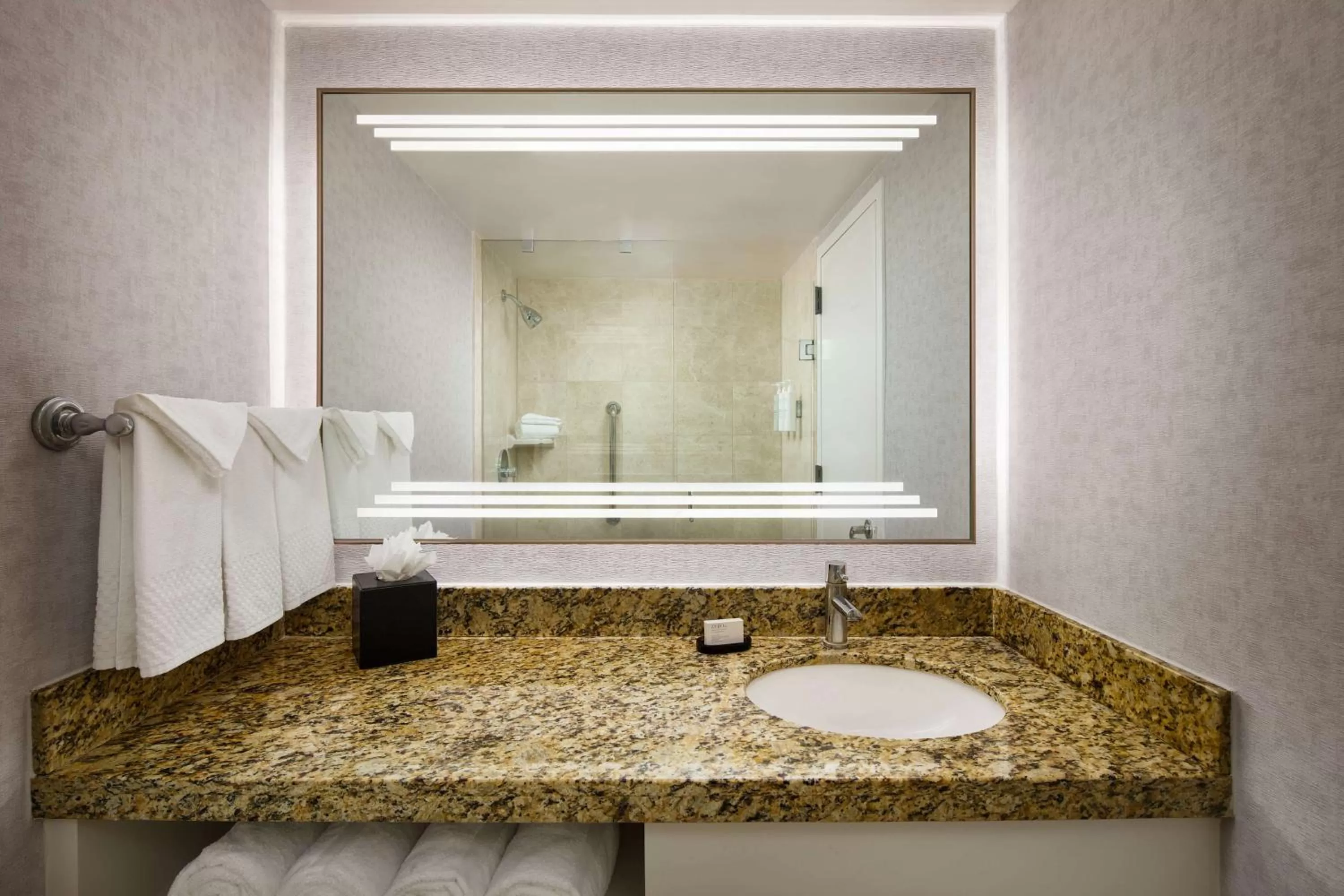 Bathroom in Embassy Suites by Hilton West Palm Beach Central