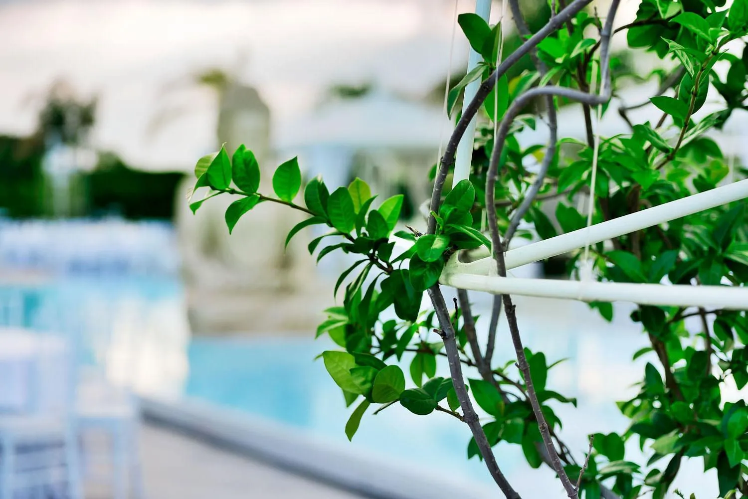 Garden view in Villa La Fenice