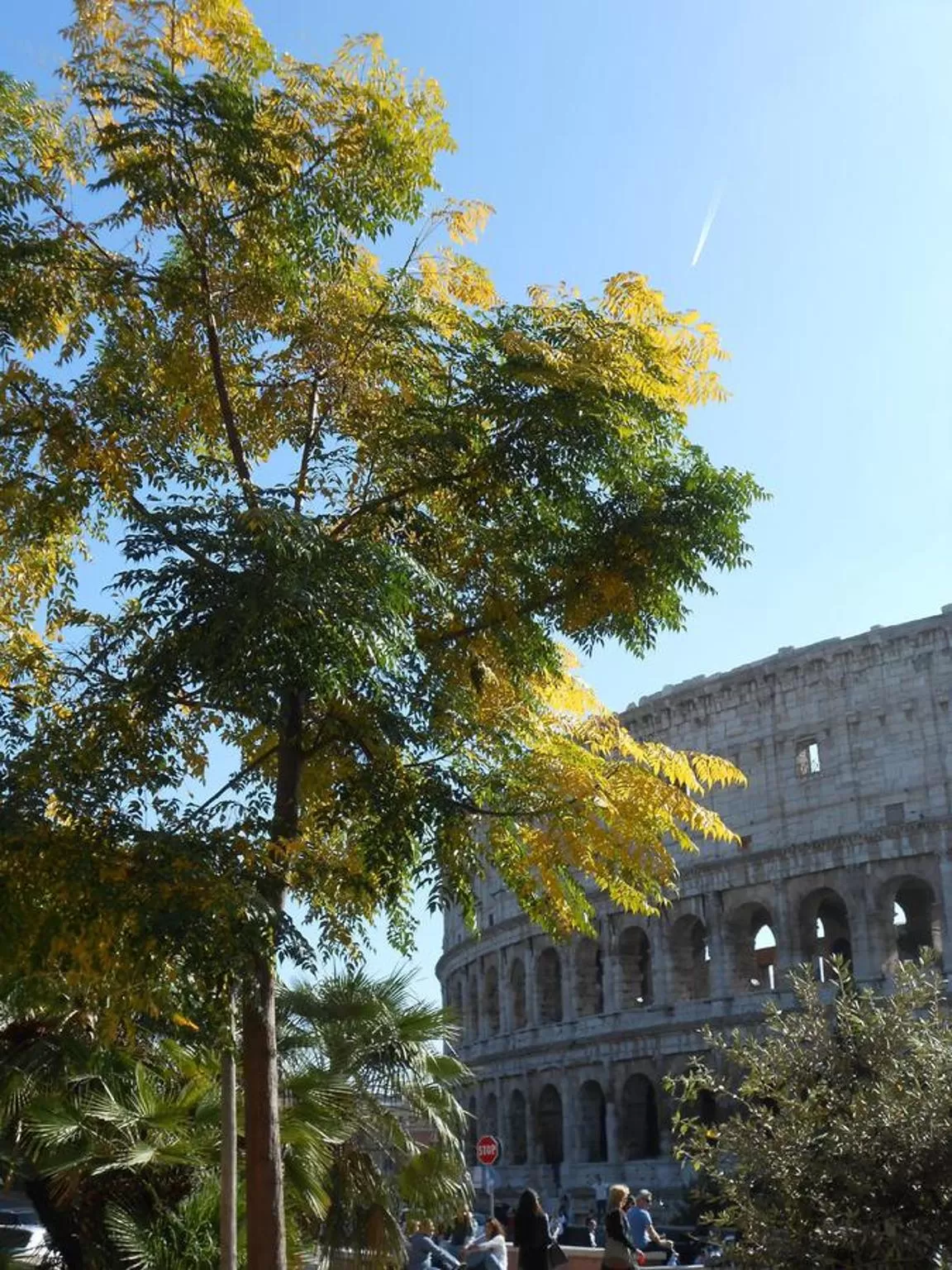 Nearby landmark in Zefiro Home