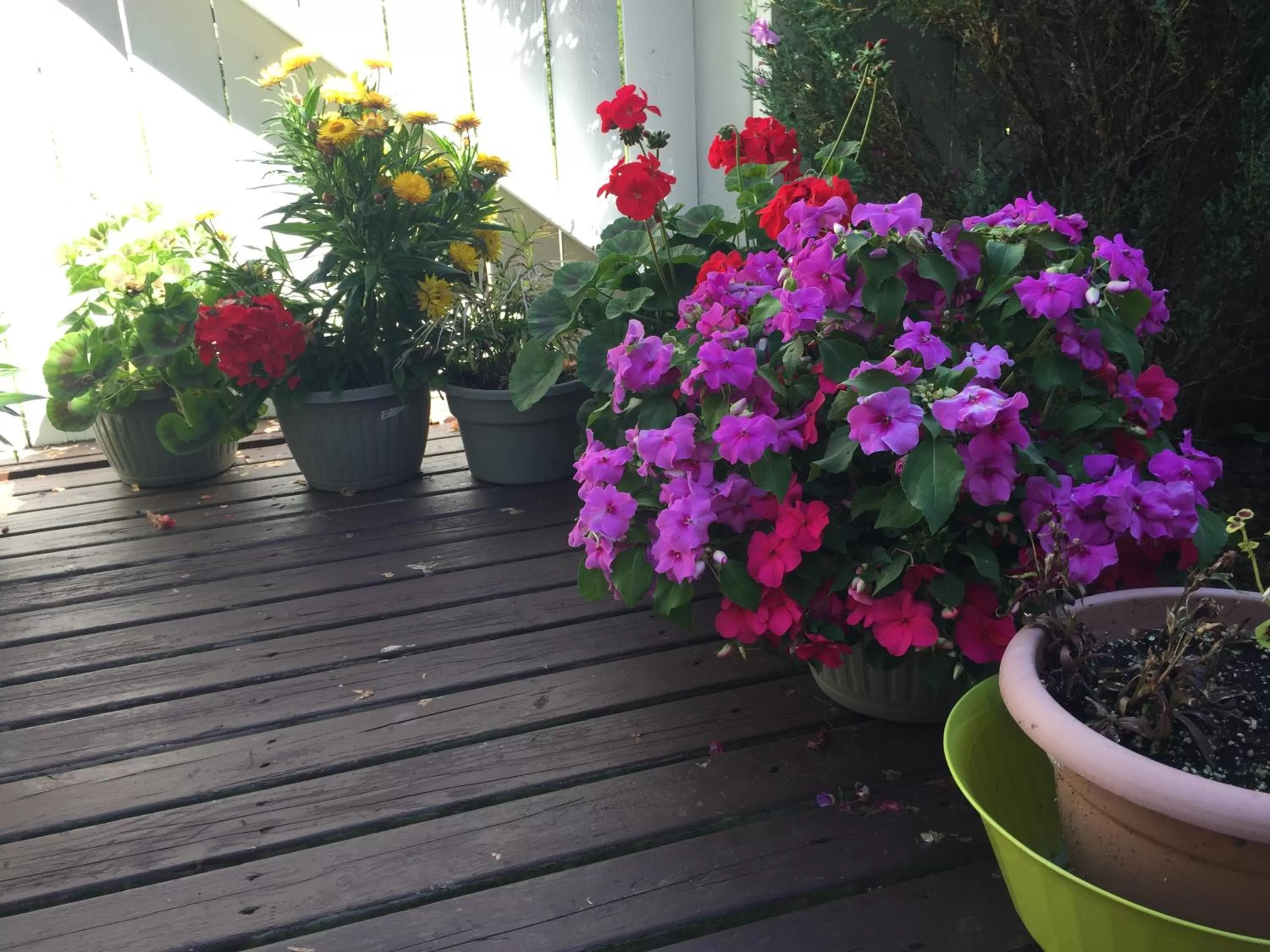 Patio in Lakelawn B&B and Motel