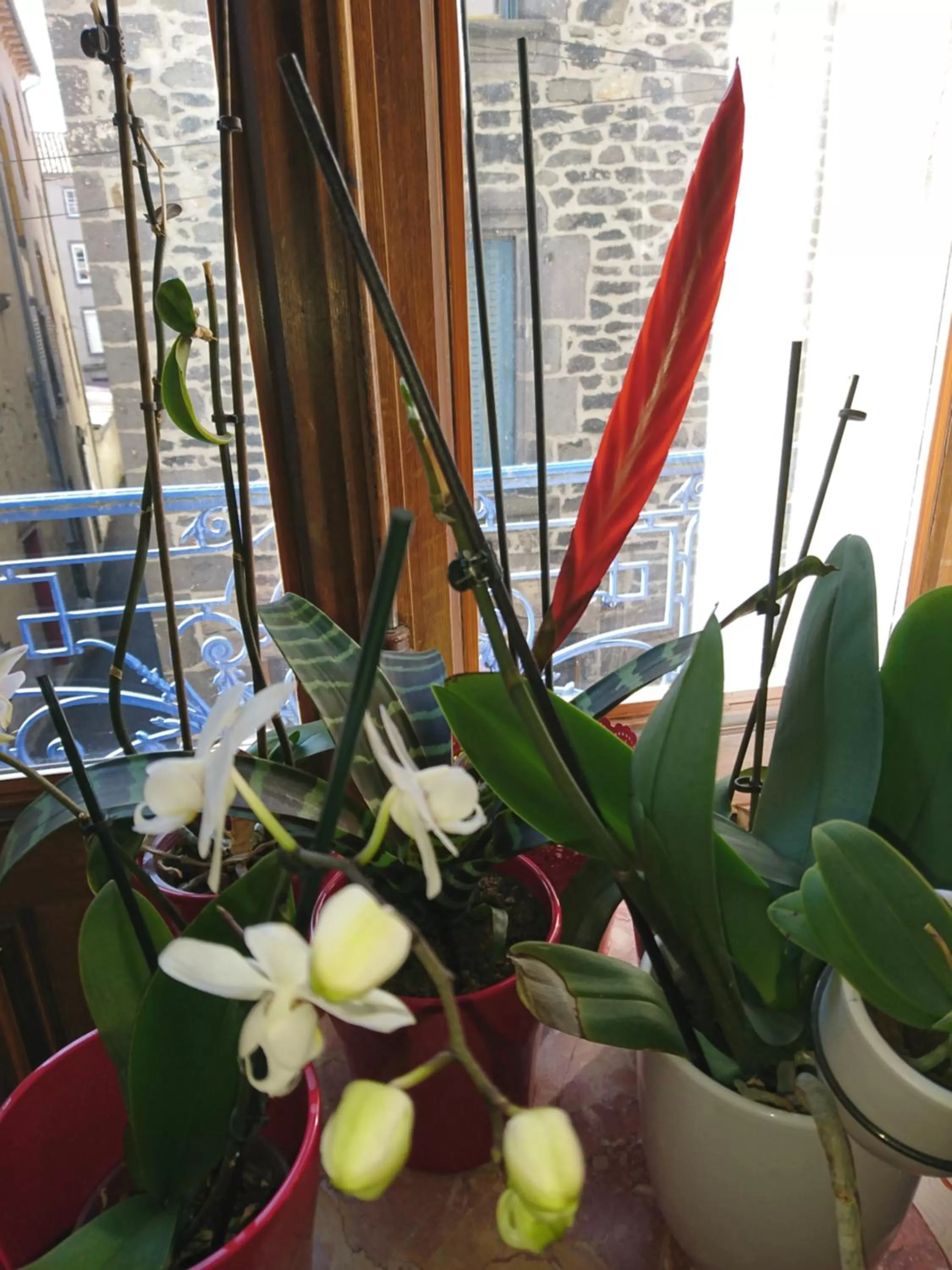 La Maison d'Adelaïde Chambres d'hôtes