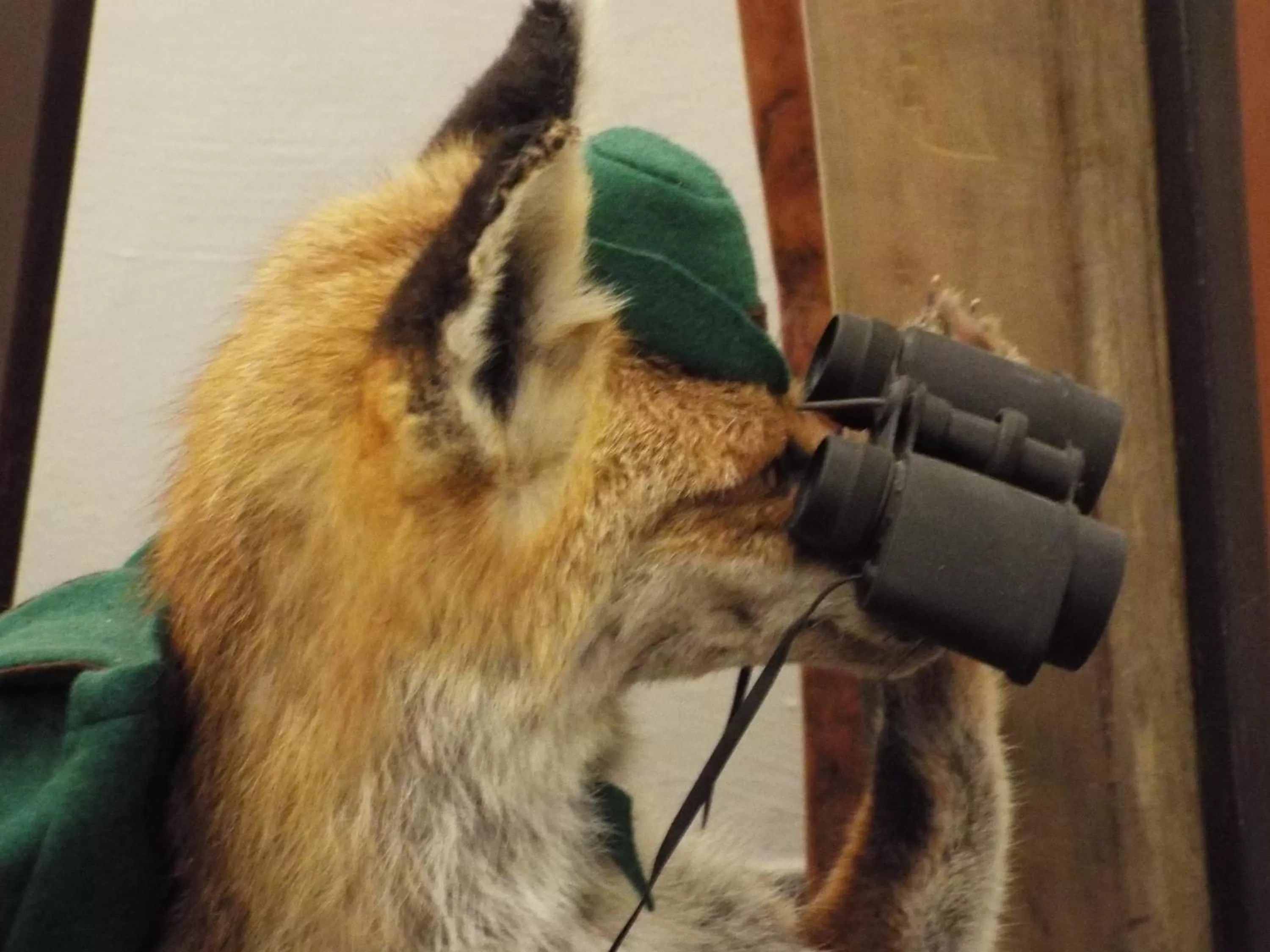 Pets in Hotel Isartaler Hof